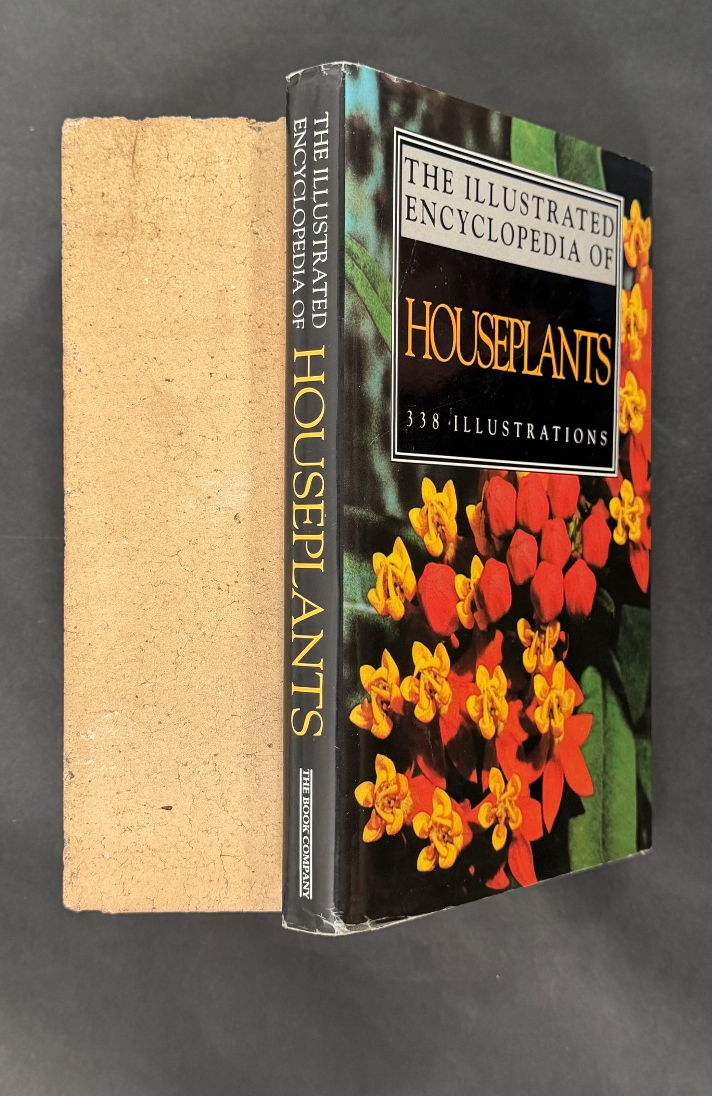 Illustrated Encyclopedia of Houseplants by Anna Skalická, Rudolf Šubík