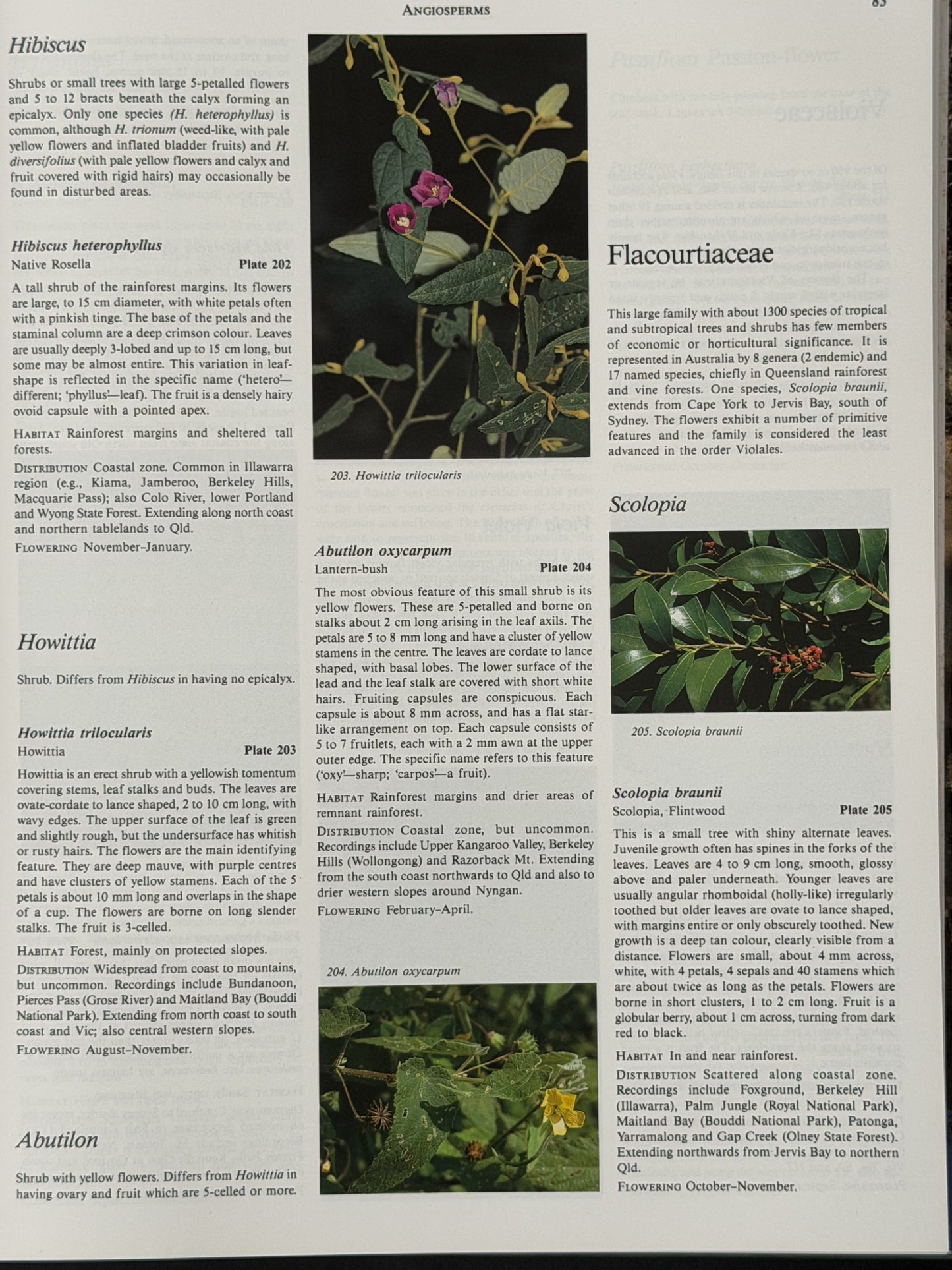 Native Plants of the Sydney District by Alan Fairley, Philip Moore