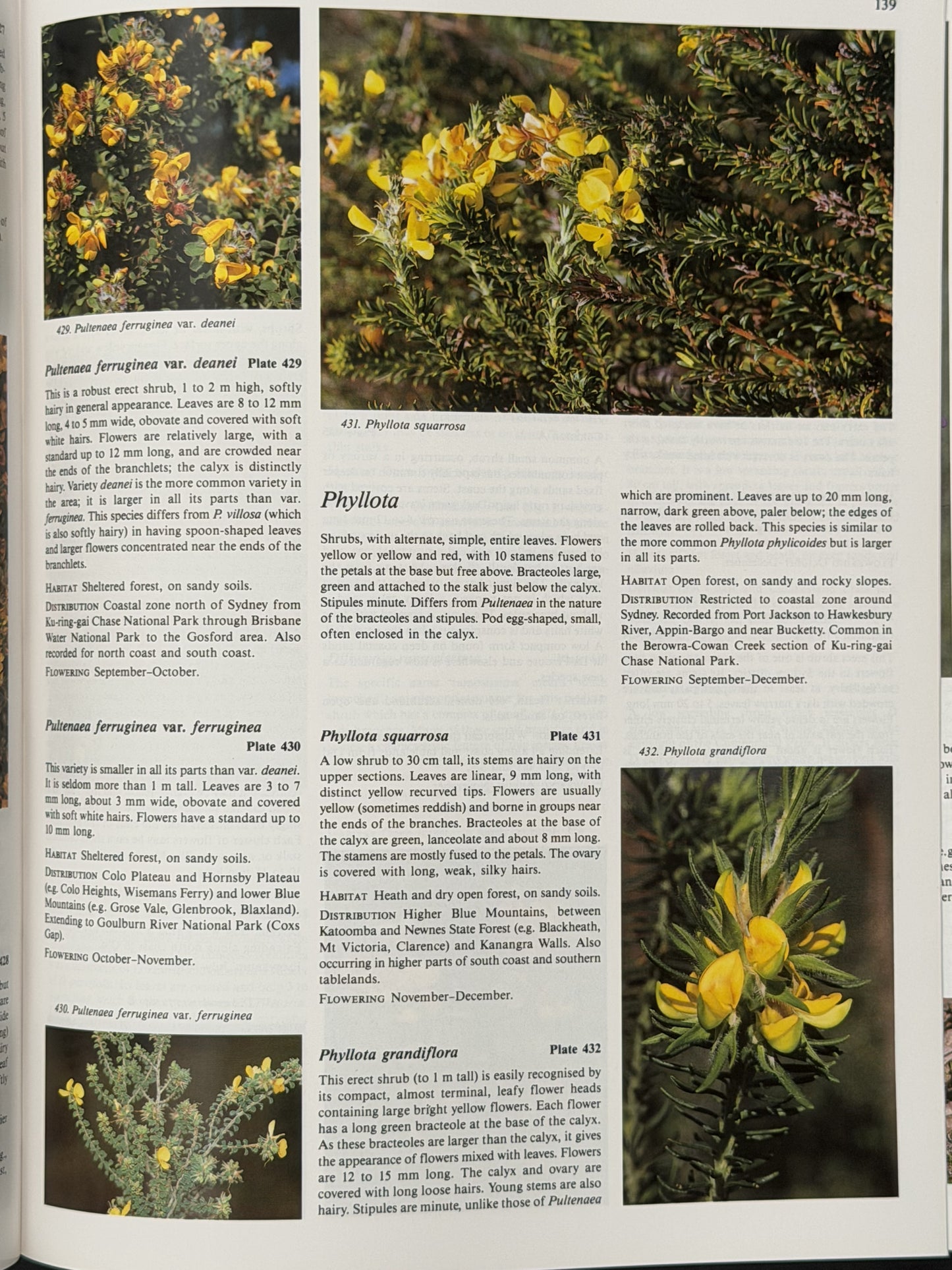 Native Plants of the Sydney District by Alan Fairley, Philip Moore