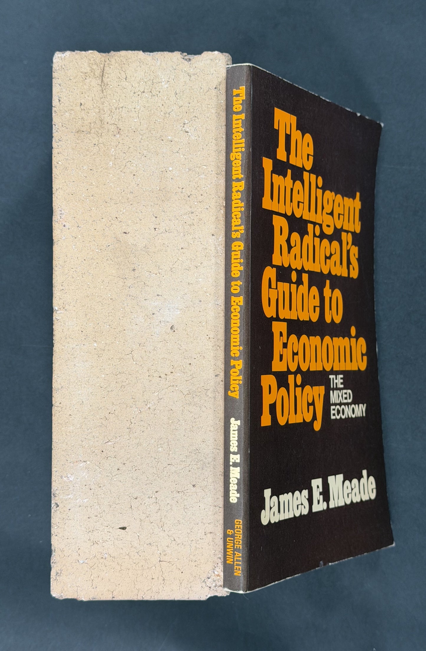 The Intelligent Radical's Guide to Economic Policy by James Edward Meade