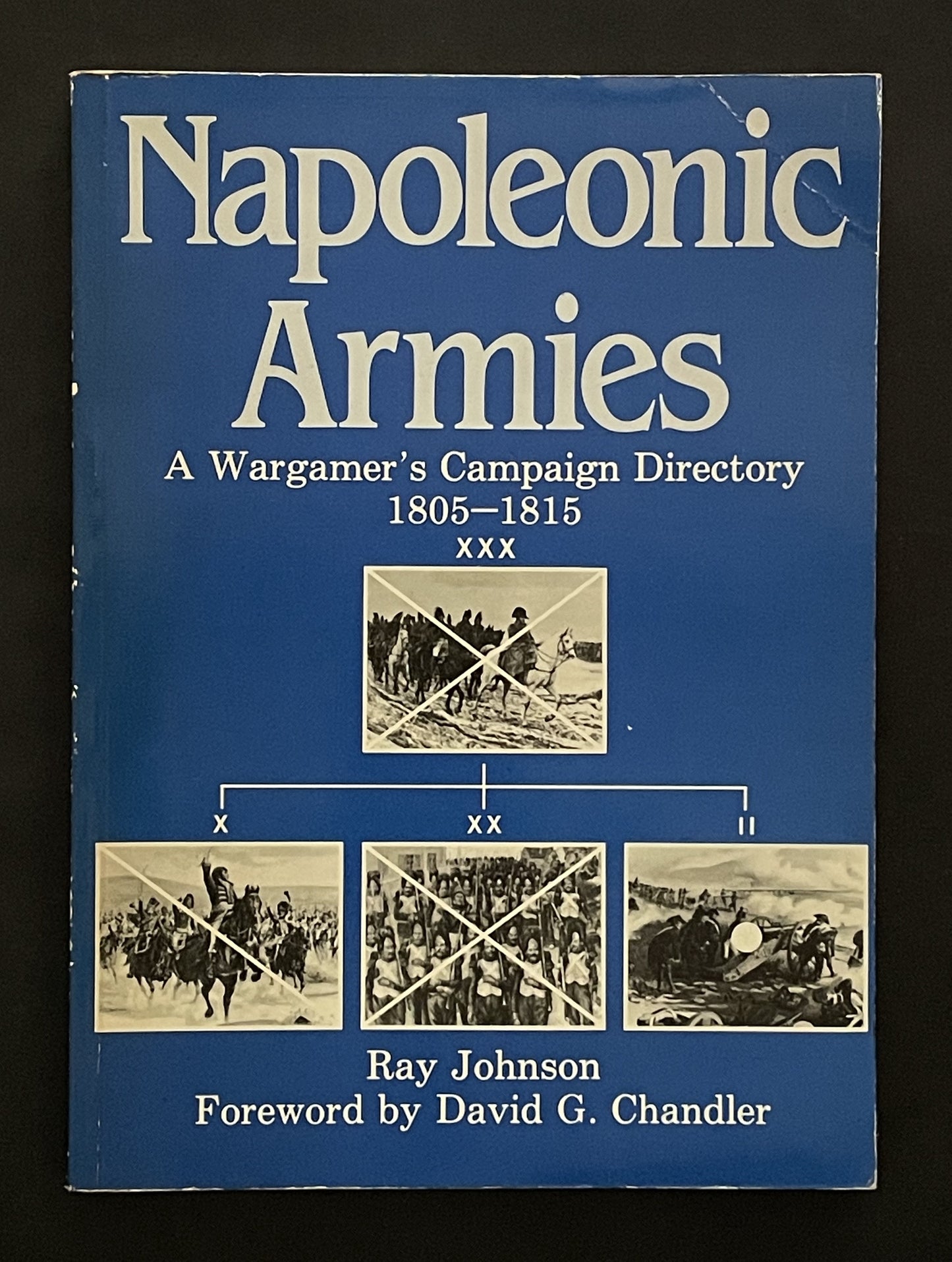Napoleonic Armies by Ray Johnson