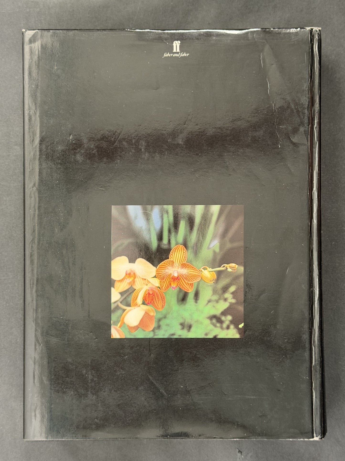 ENCYCLOPAEDIA OF CULTIVATED ORCHIDS by ALEX D HAWKES