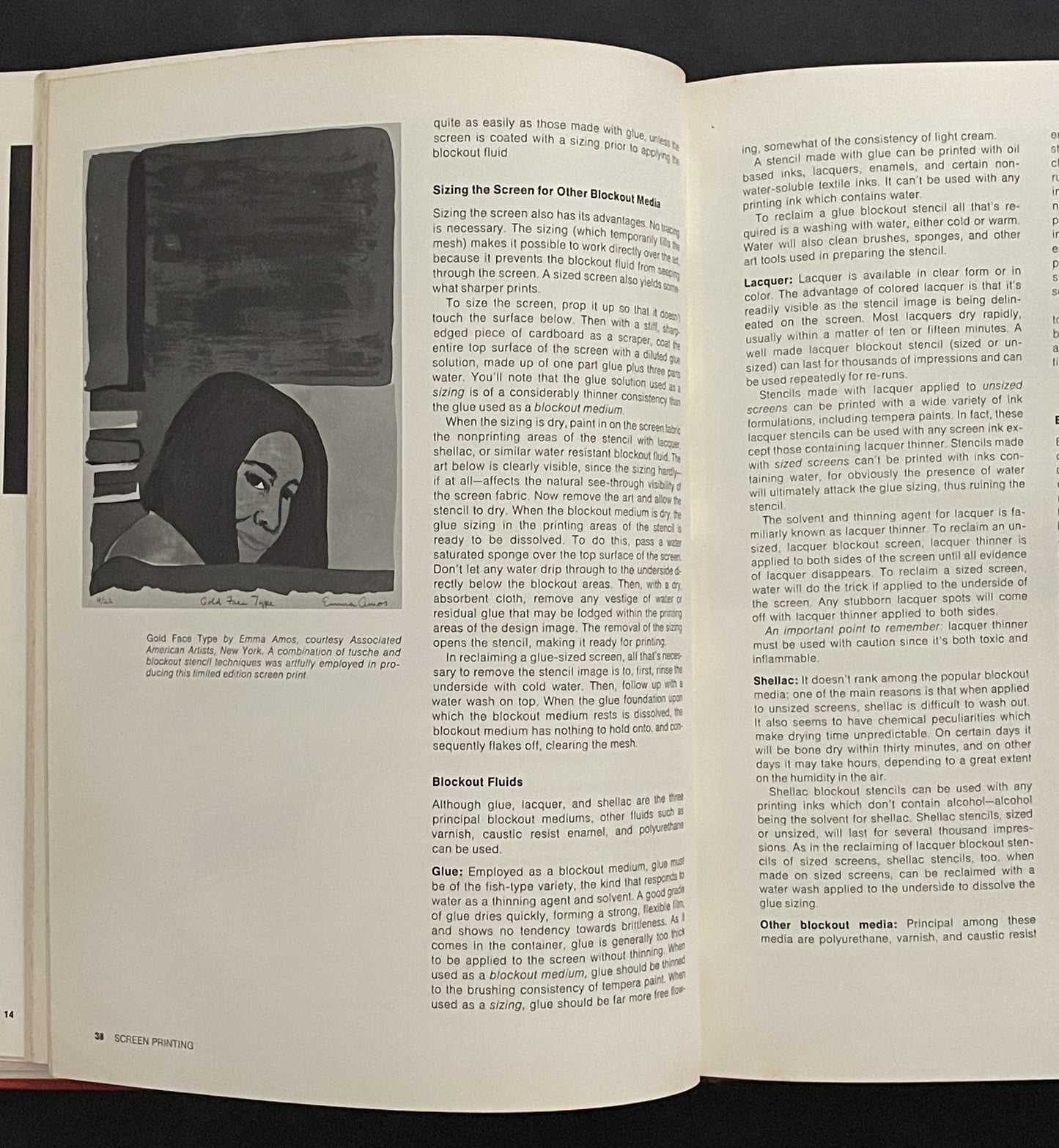 Screen Printing by Jacob Israel Biegeleisen