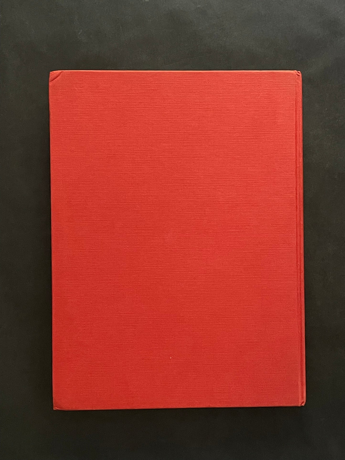 Screen Printing by Jacob Israel Biegeleisen