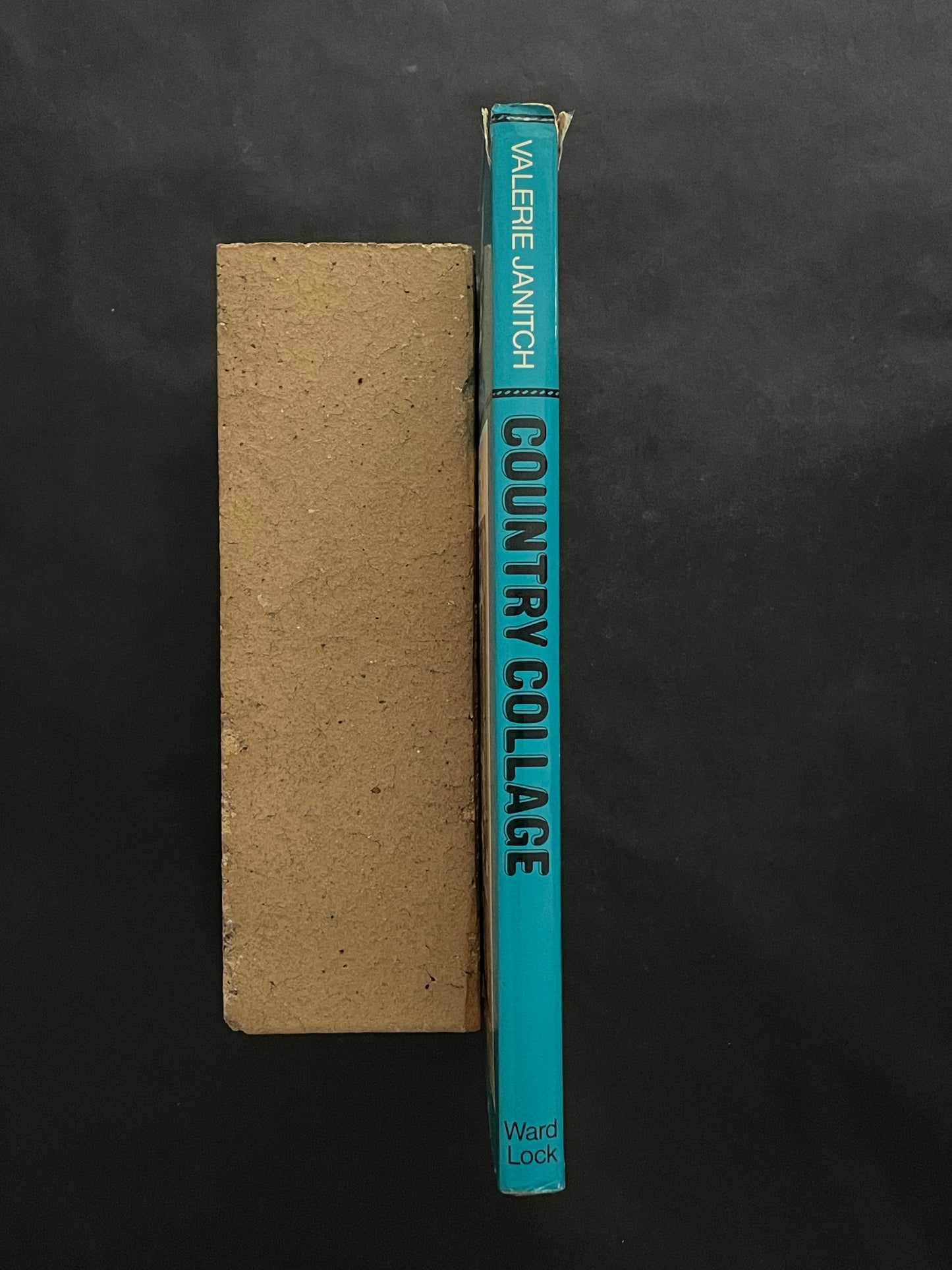 Country Collage by Valerie Janitch