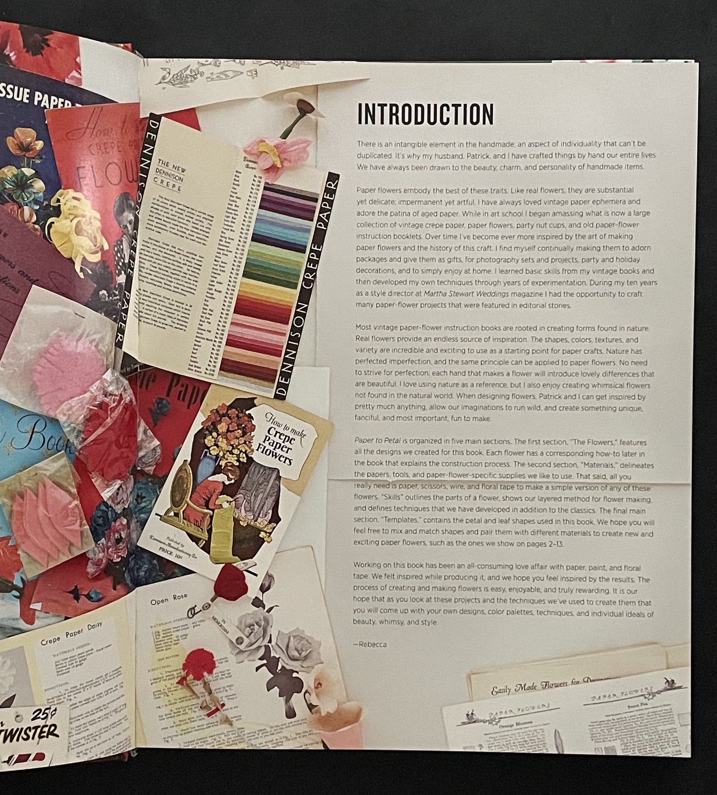 Paper to Petal by Rebecca Thuss, Patrick Farrell