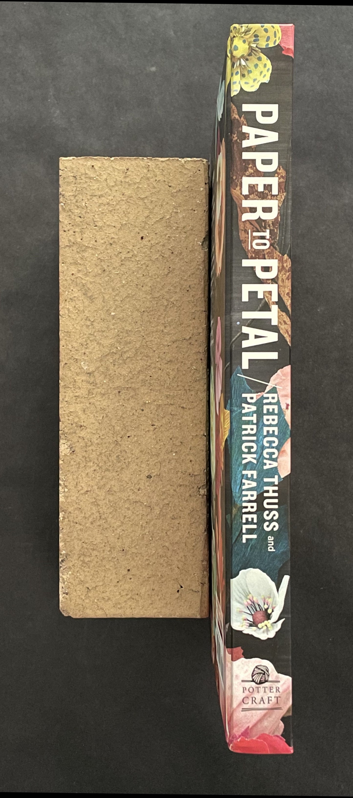 Paper to Petal by Rebecca Thuss, Patrick Farrell