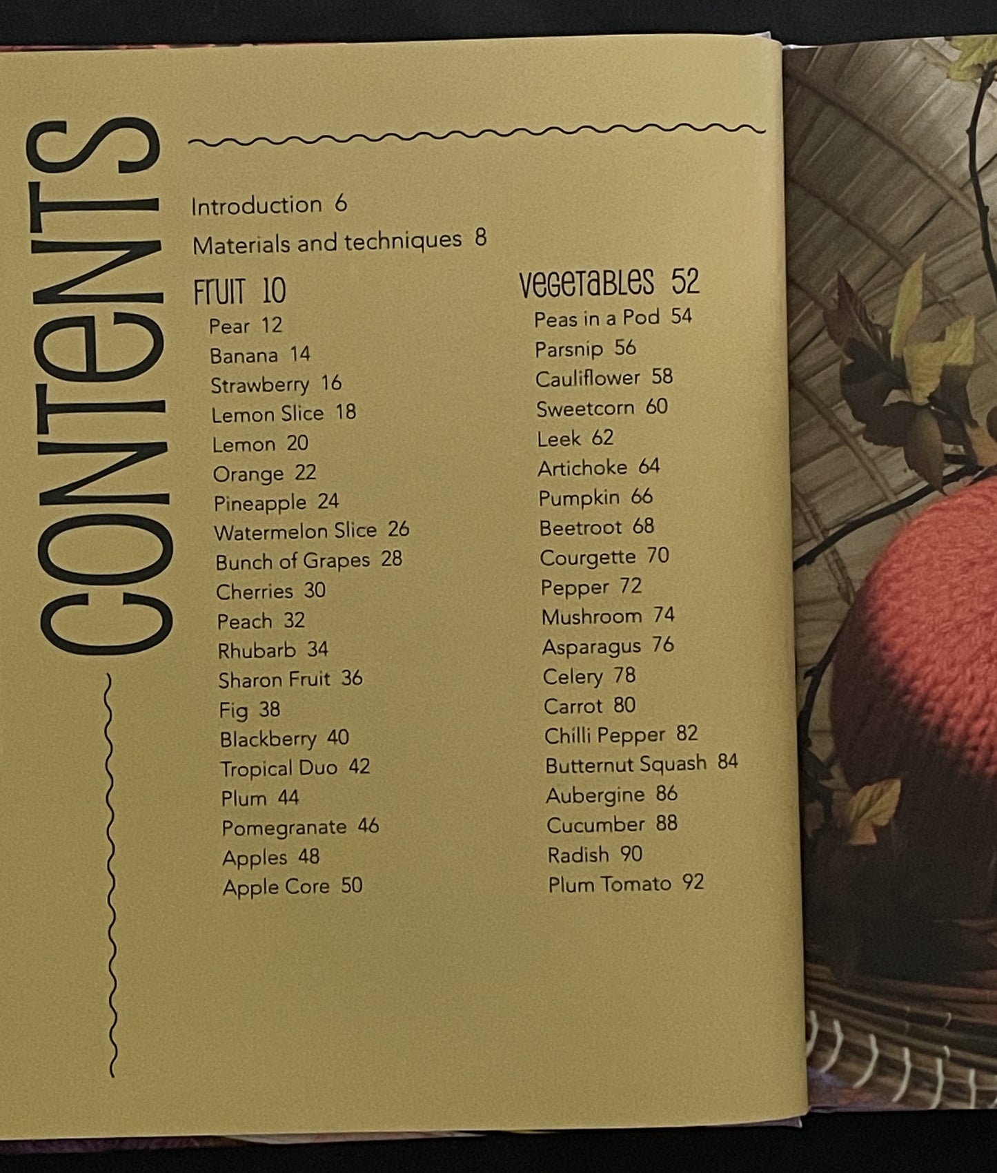 Knitted Fruit and Vegetables by Susie Johns