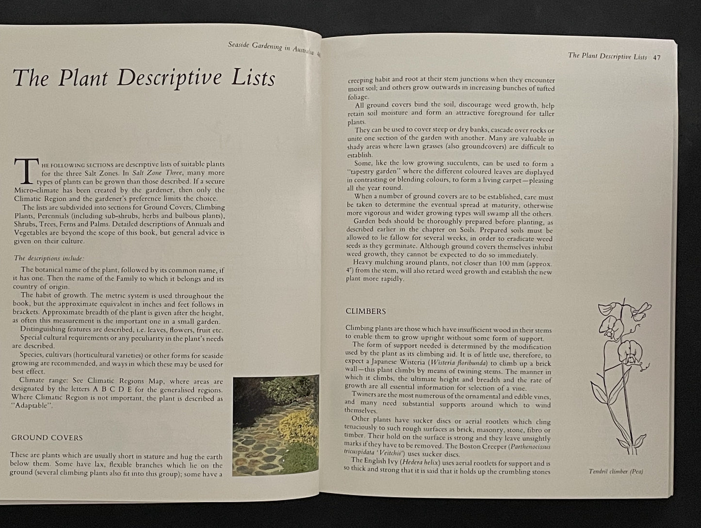 Seaside Gardening in Australia by Marcelle Monfries