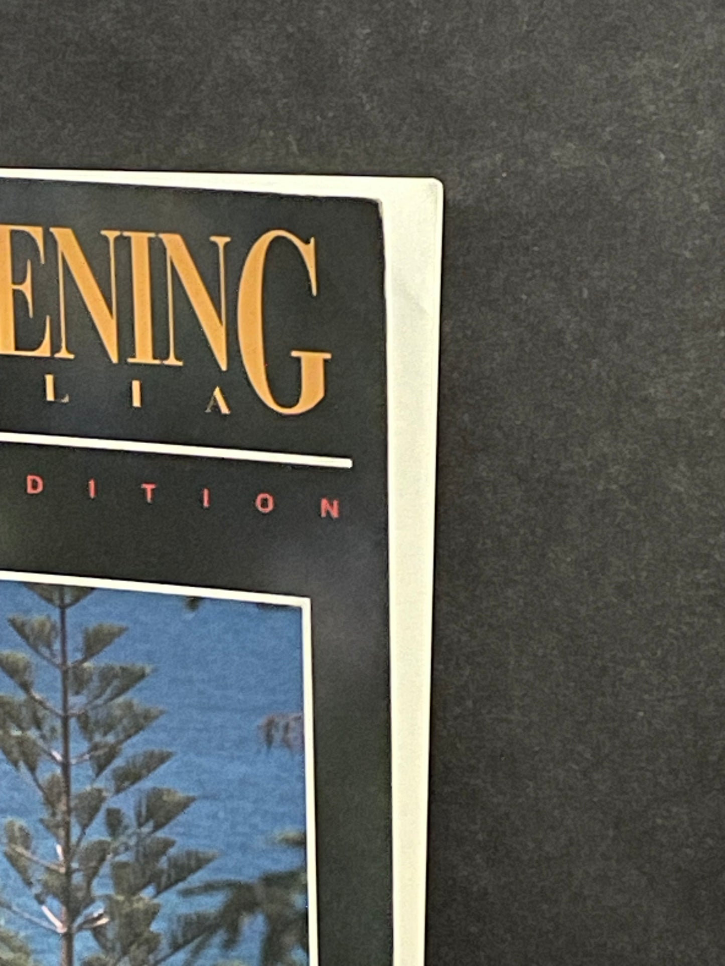 Seaside Gardening in Australia by Marcelle Monfries