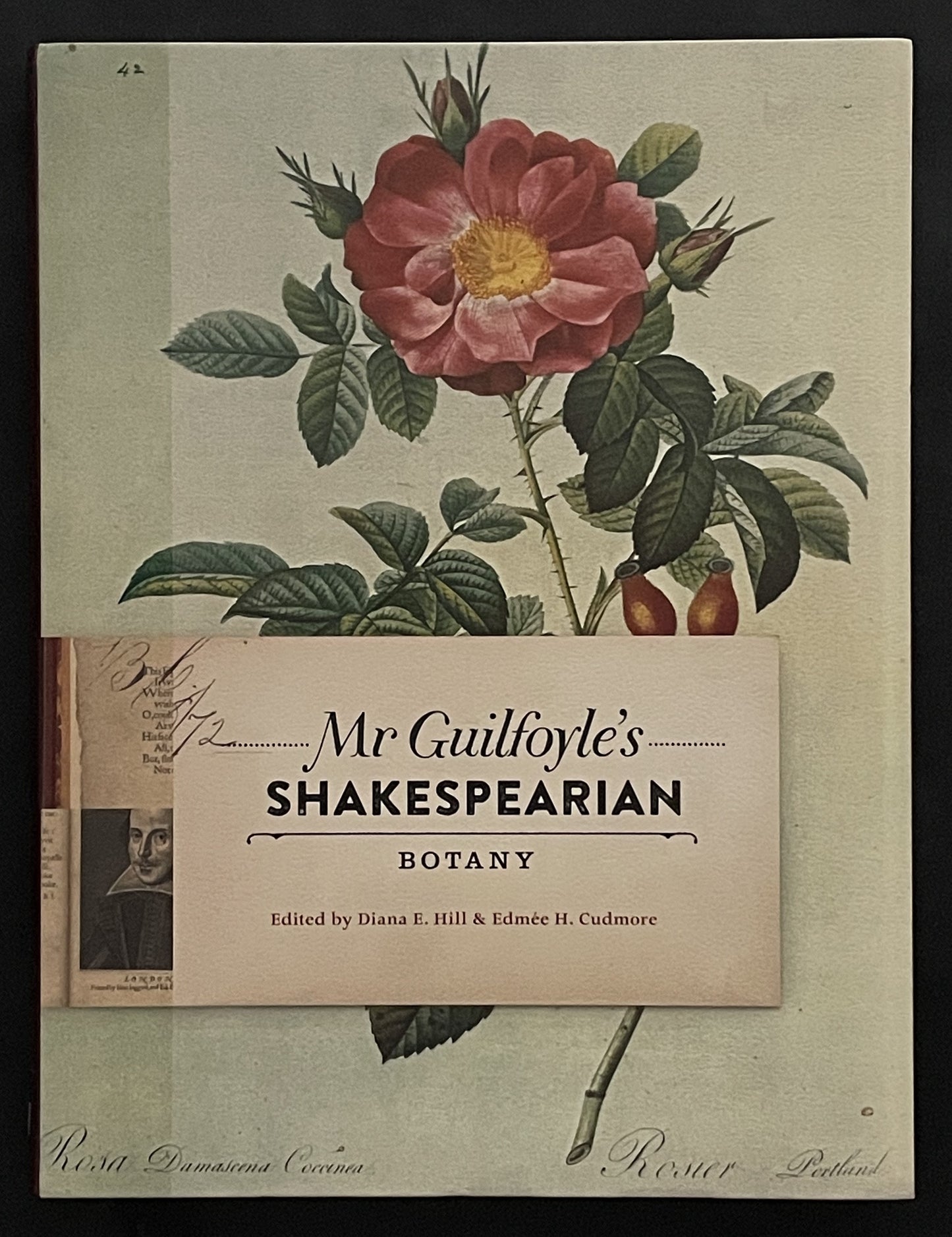 Mr Guilfoyle's Shakespearian Botany by William Robert Guilfoyle