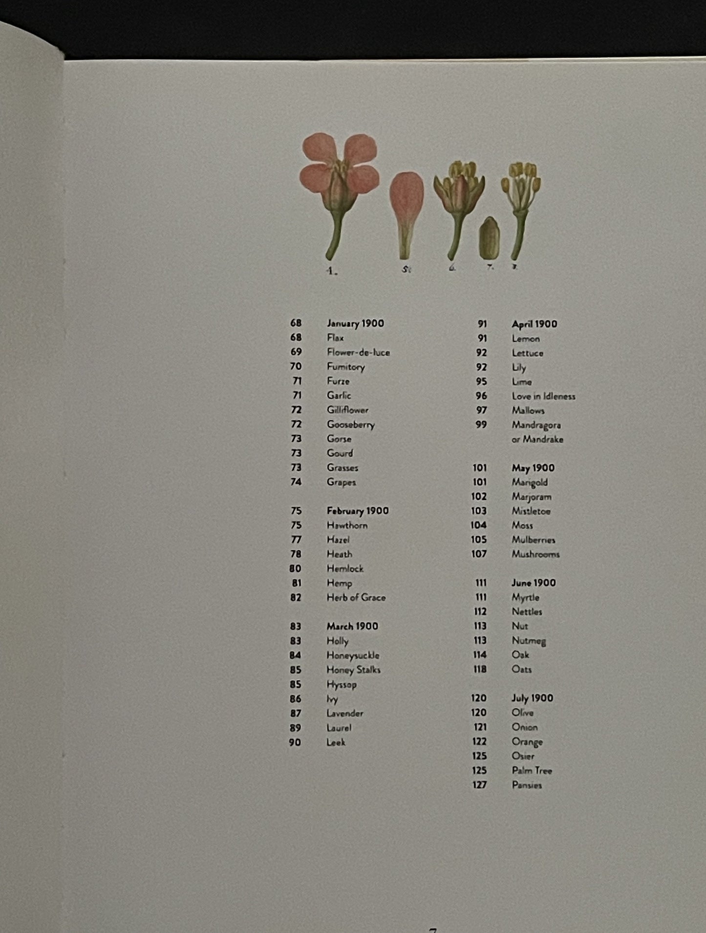 Mr Guilfoyle's Shakespearian Botany by William Robert Guilfoyle