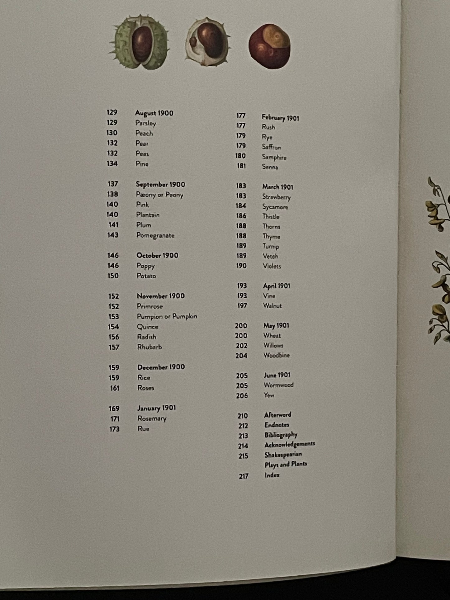 Mr Guilfoyle's Shakespearian Botany by William Robert Guilfoyle