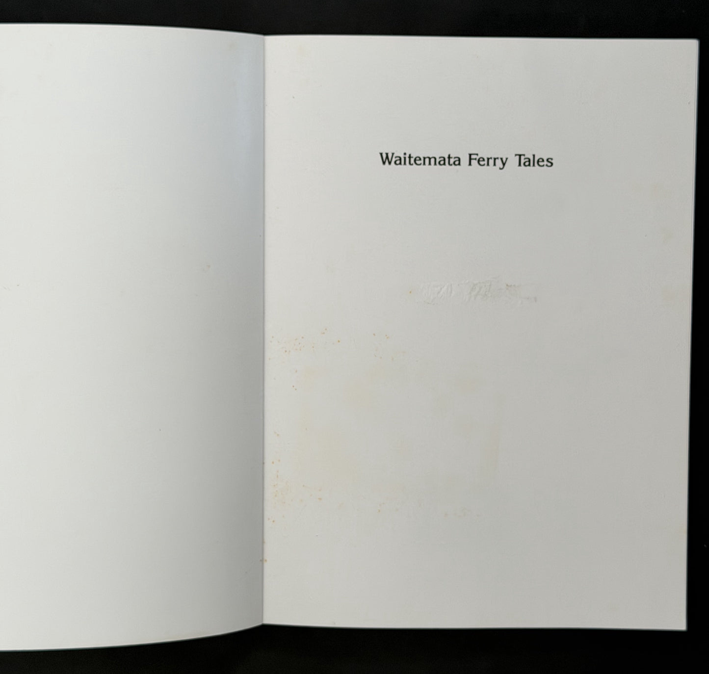 Waitemata Ferry Tales by Sally Fodie