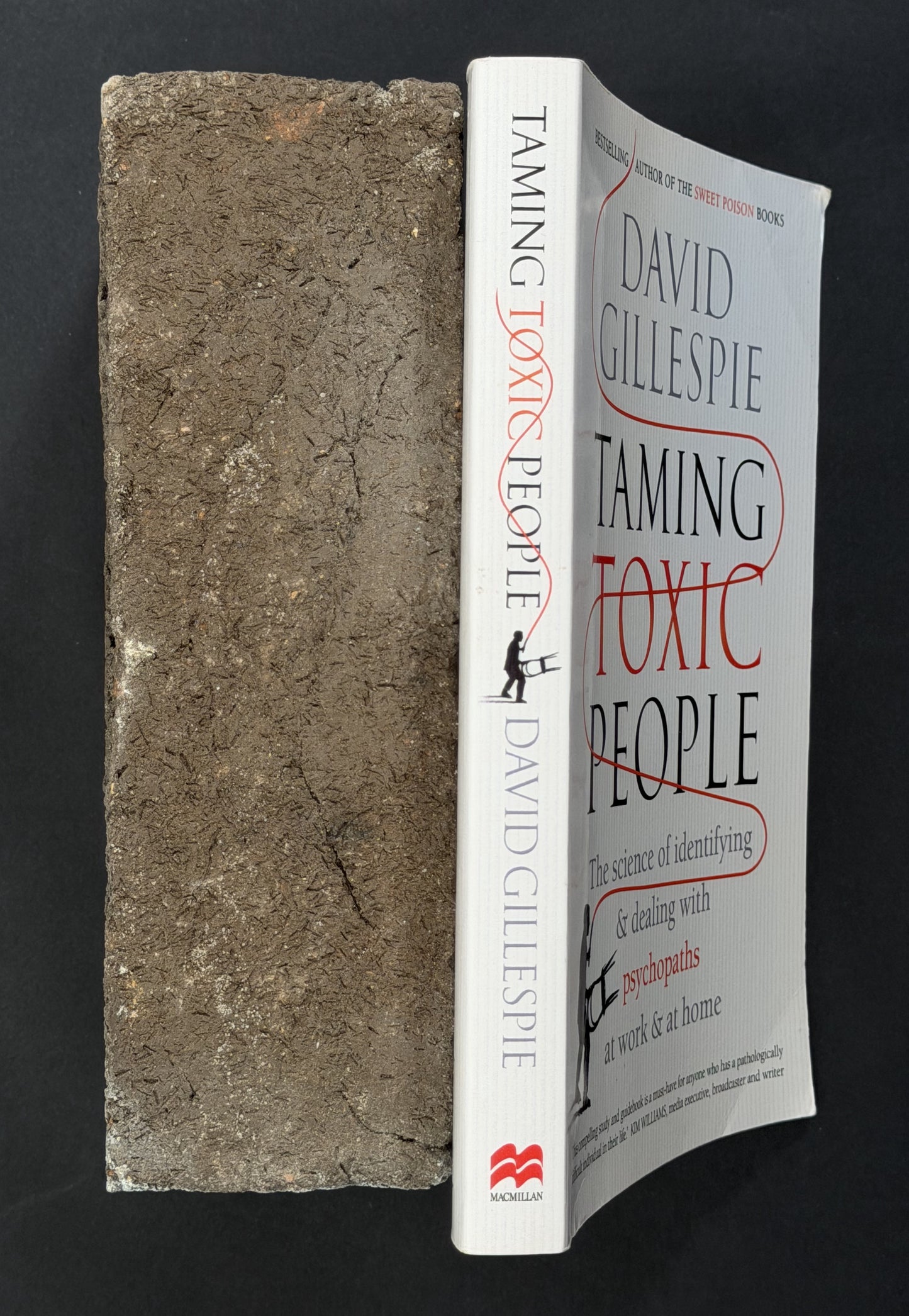 Taming Toxic People by David Gillespie