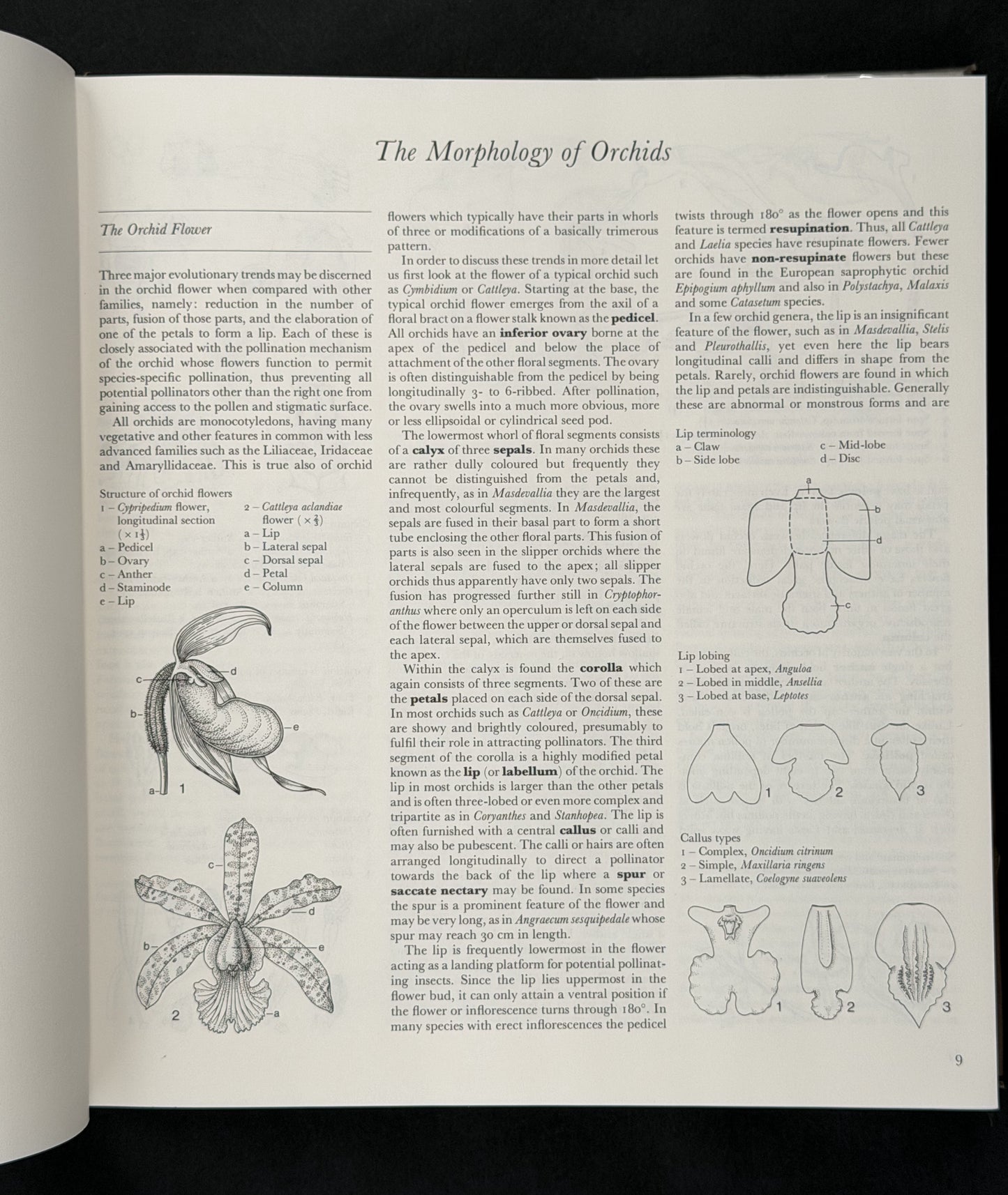 The Manual of Cultivated Orchid Species by Helmut Bechtel et al.