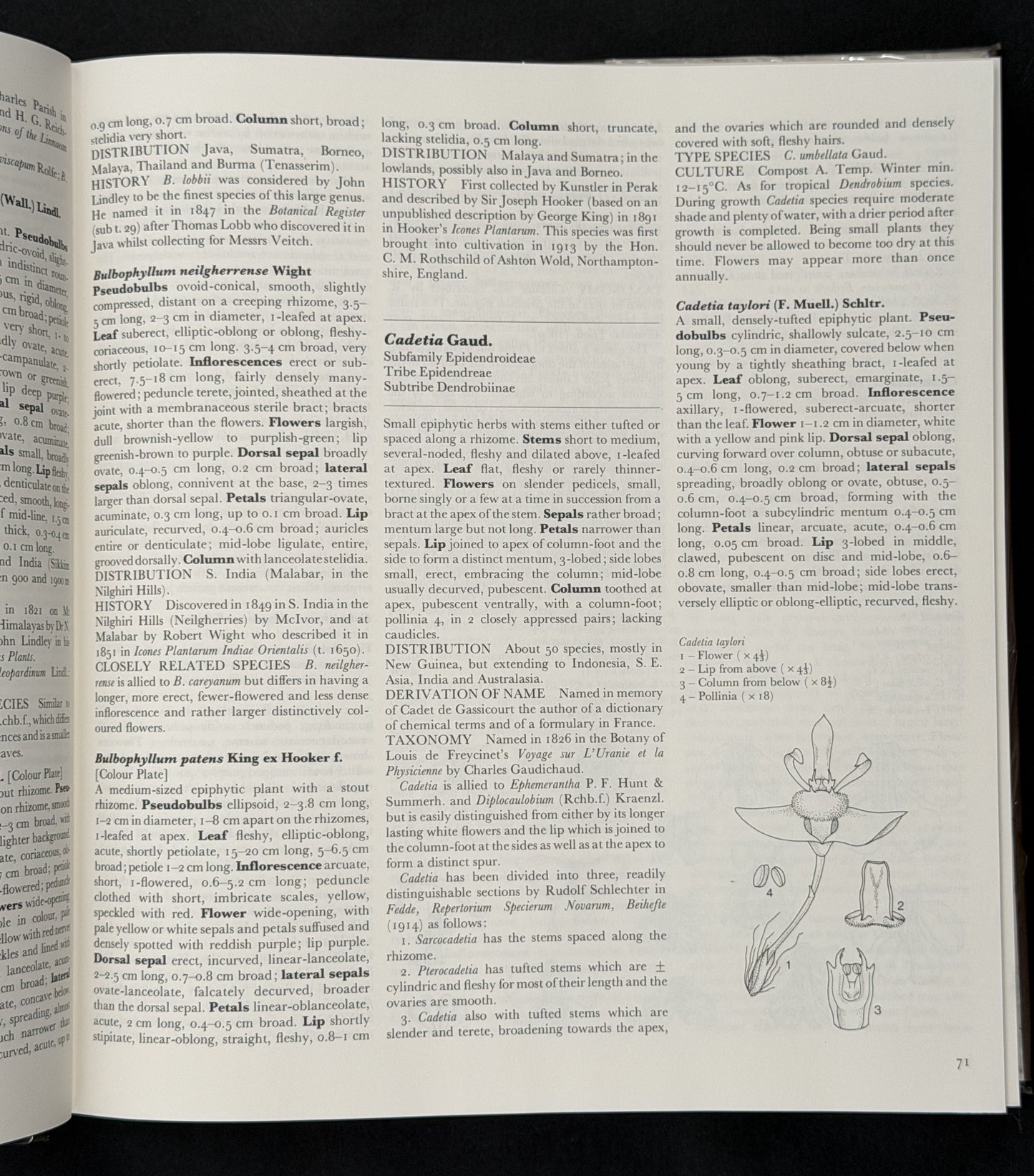 The Manual of Cultivated Orchid Species by Helmut Bechtel et al.