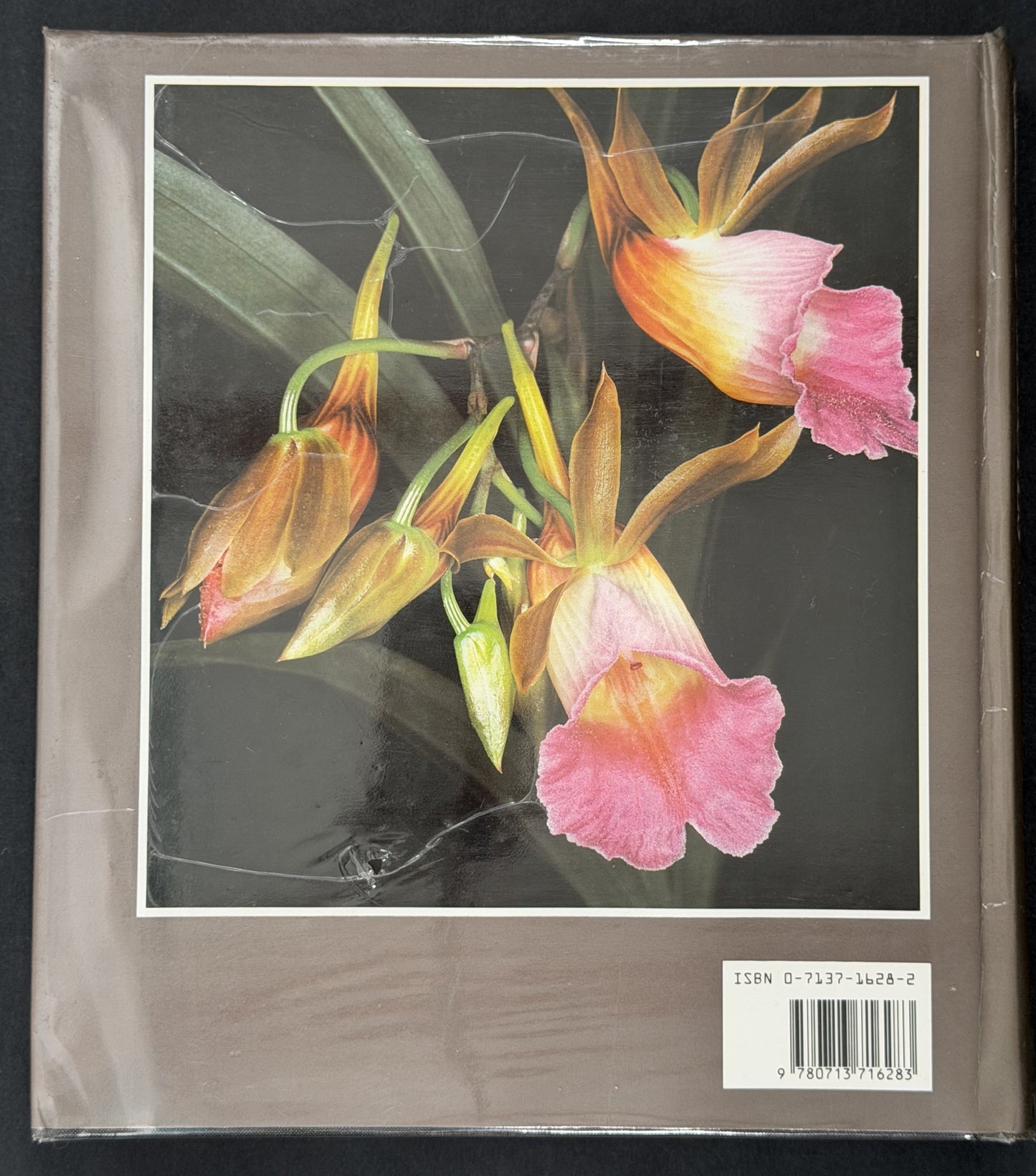 The Manual of Cultivated Orchid Species by Helmut Bechtel et al.