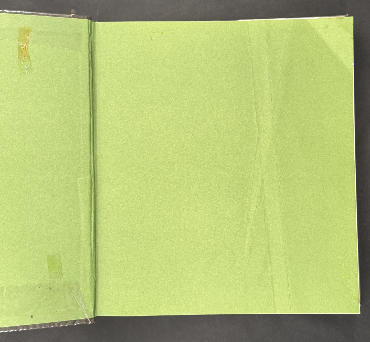 The Manual of Cultivated Orchid Species by Helmut Bechtel et al.