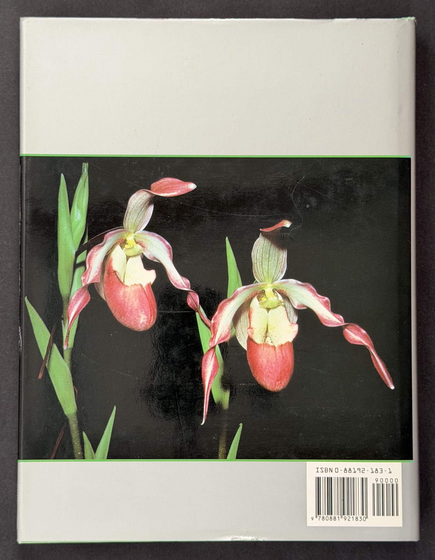 The Slipper Orchids by Catherine Cash