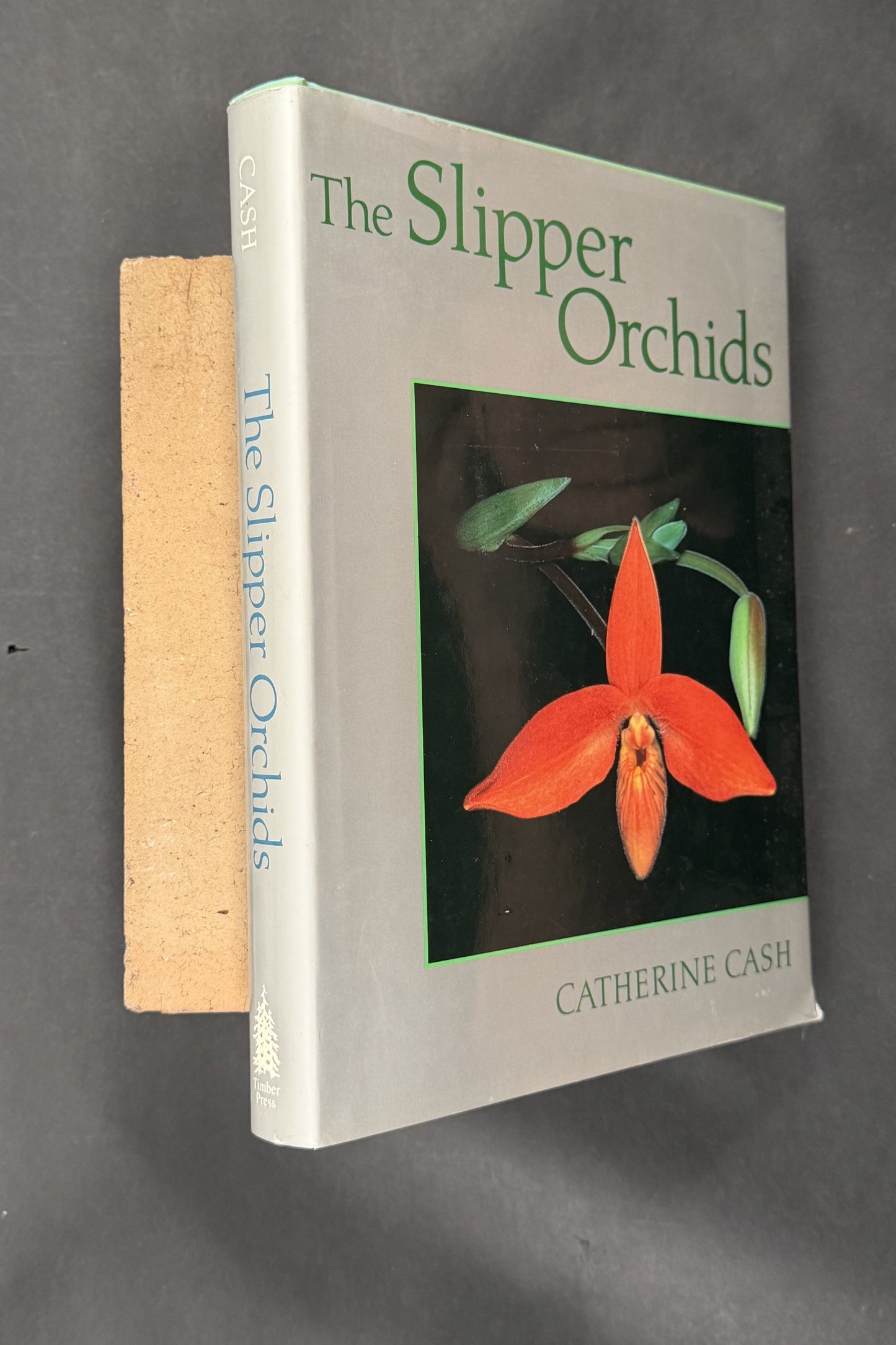 The Slipper Orchids by Catherine Cash
