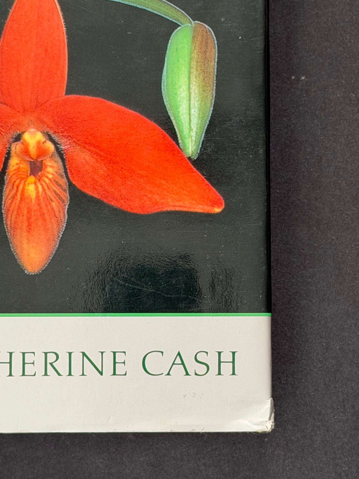 The Slipper Orchids by Catherine Cash