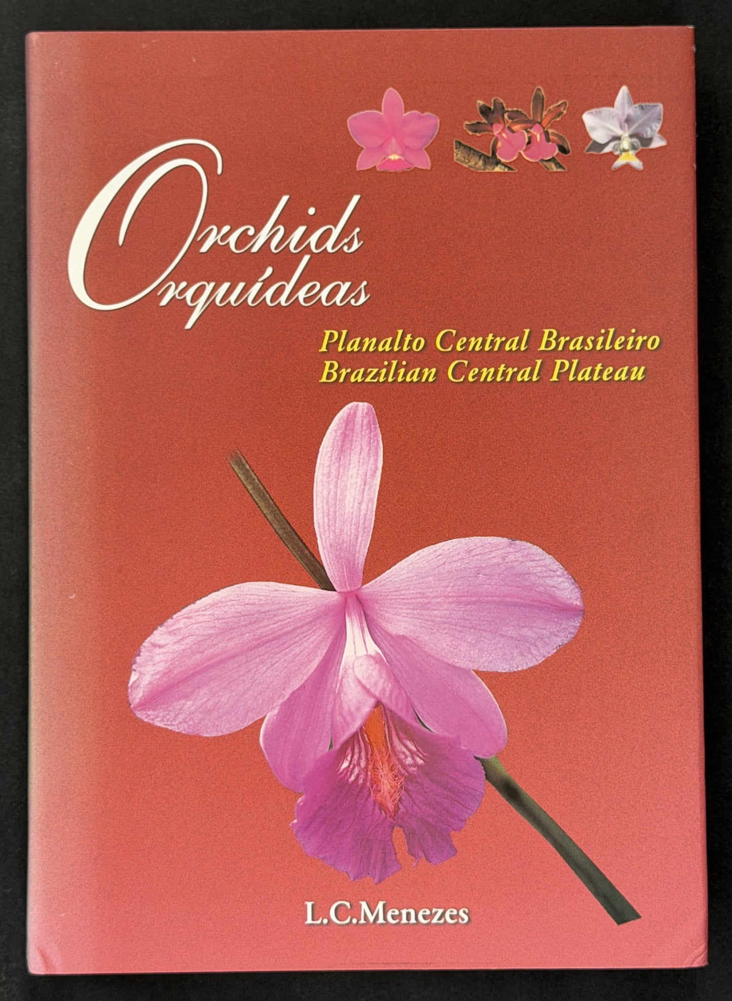 Orchids by Lou C. Menezes