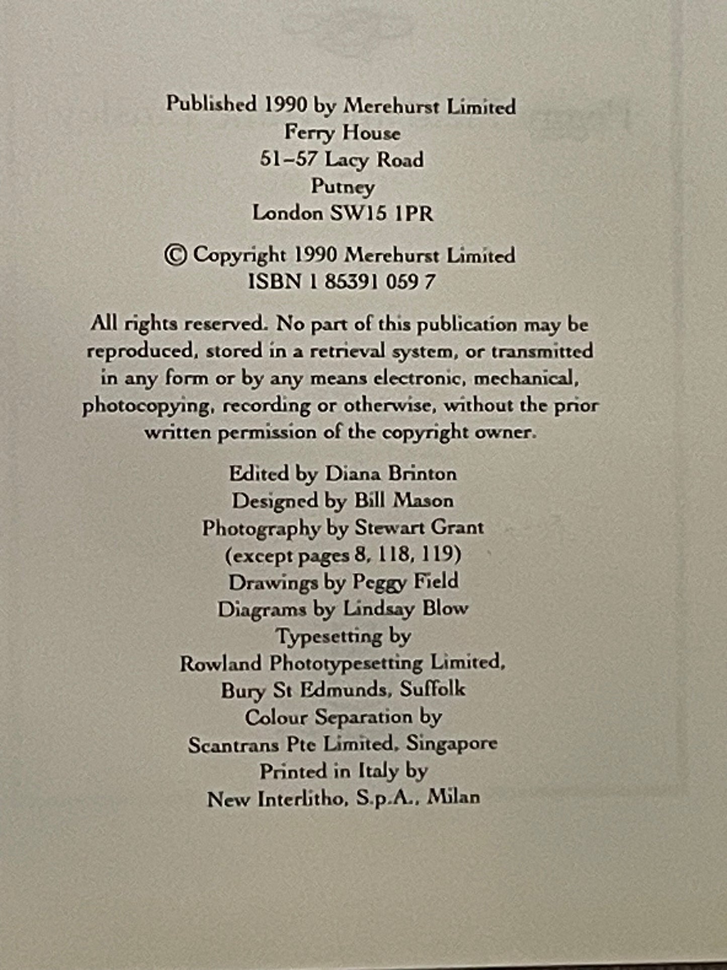 Canvas Embroidery by Peggy Field, June Linsley