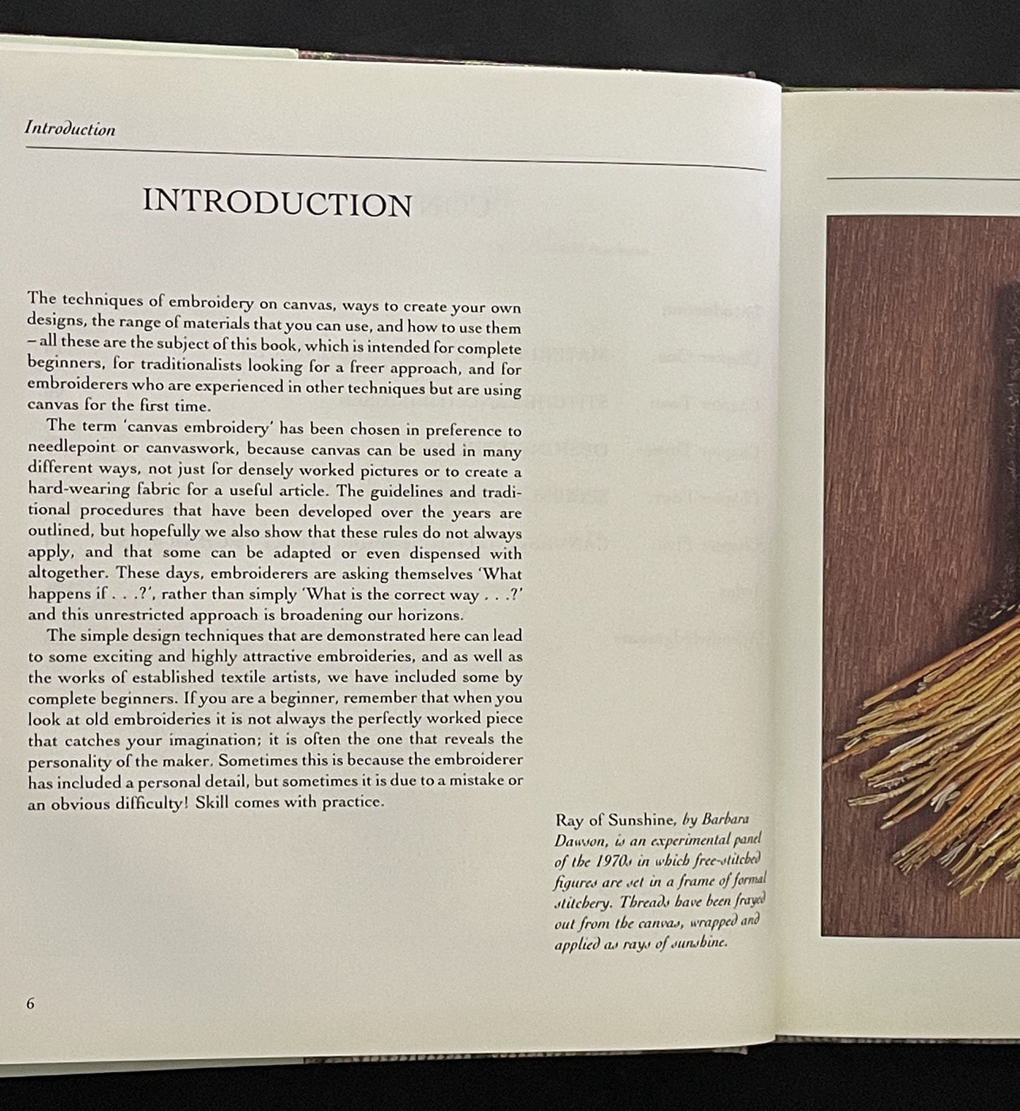 Canvas Embroidery by Peggy Field, June Linsley