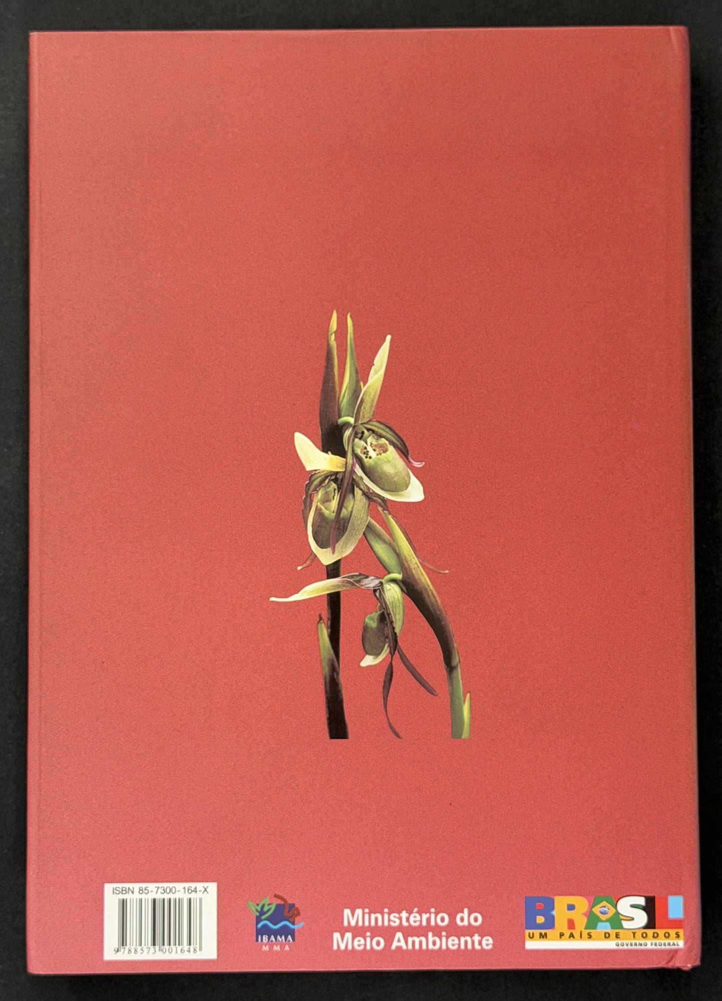 Orchids by Lou C. Menezes