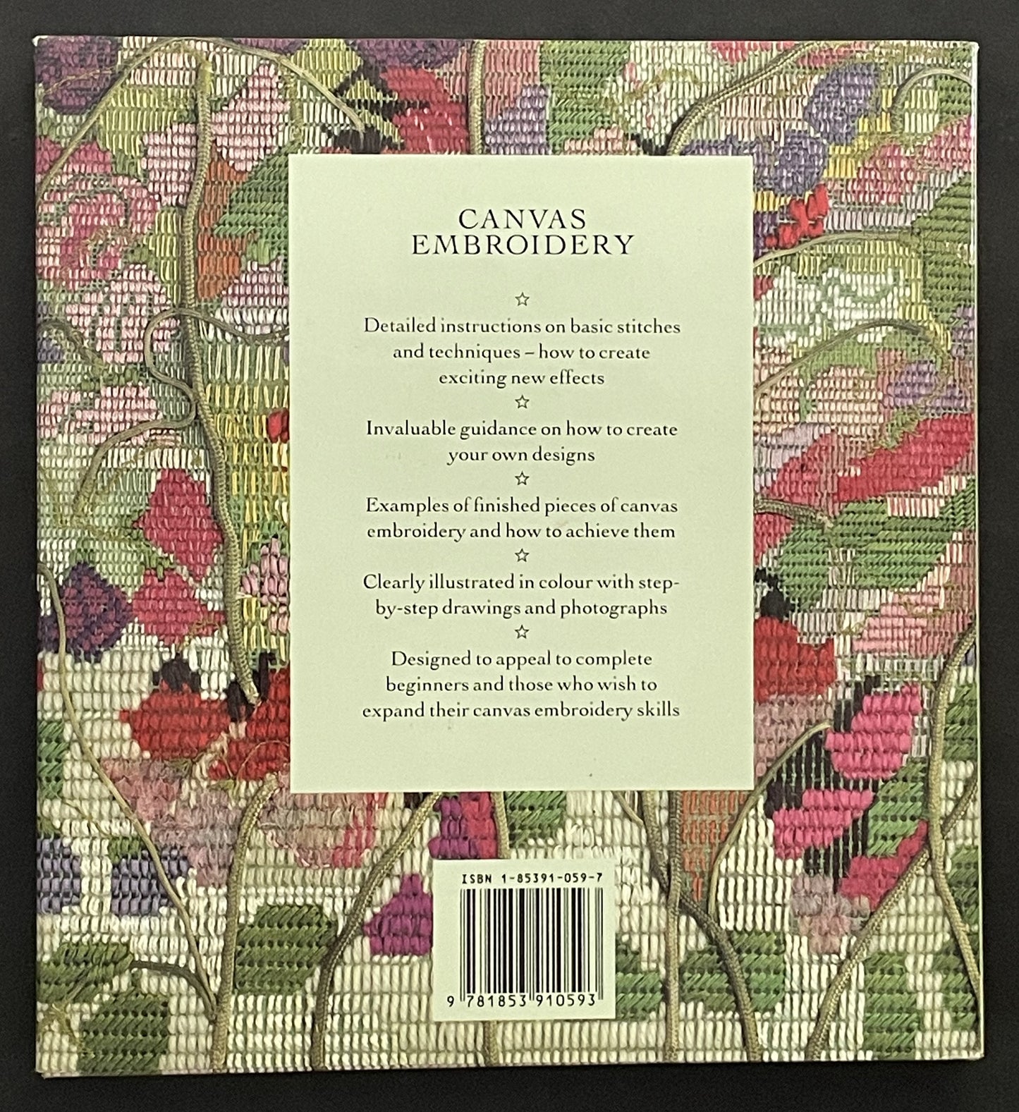 Canvas Embroidery by Peggy Field, June Linsley