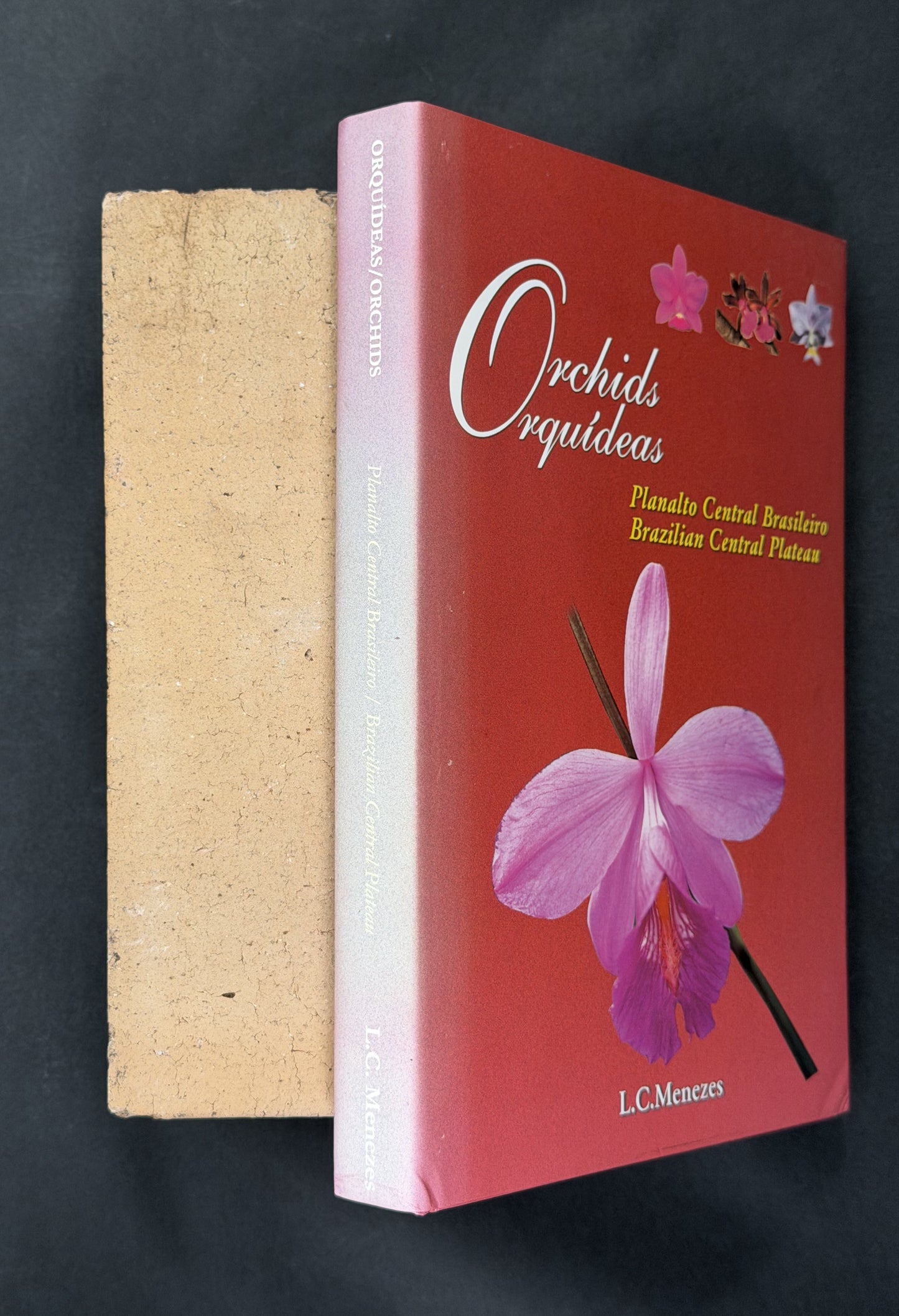 Orchids by Lou C. Menezes