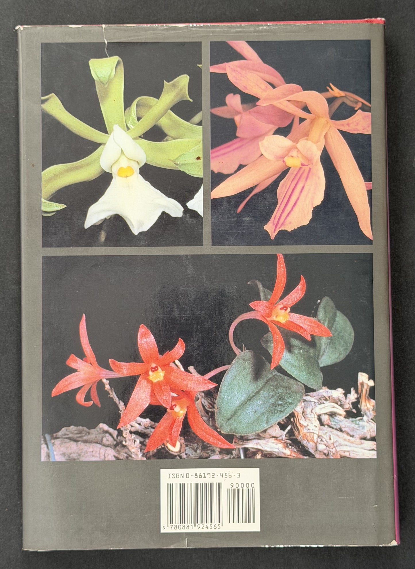 The Cattleyas and Their Relatives Vol 5 by Carl Leslie Withner
