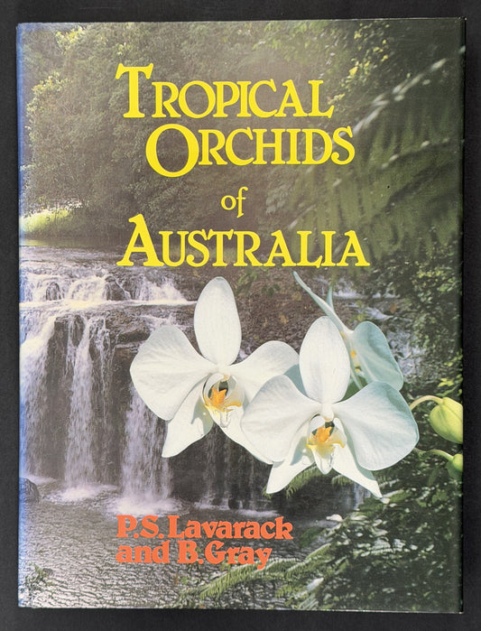 Tropical Orchids of Australia by P.S. Lavarack and B. Gray