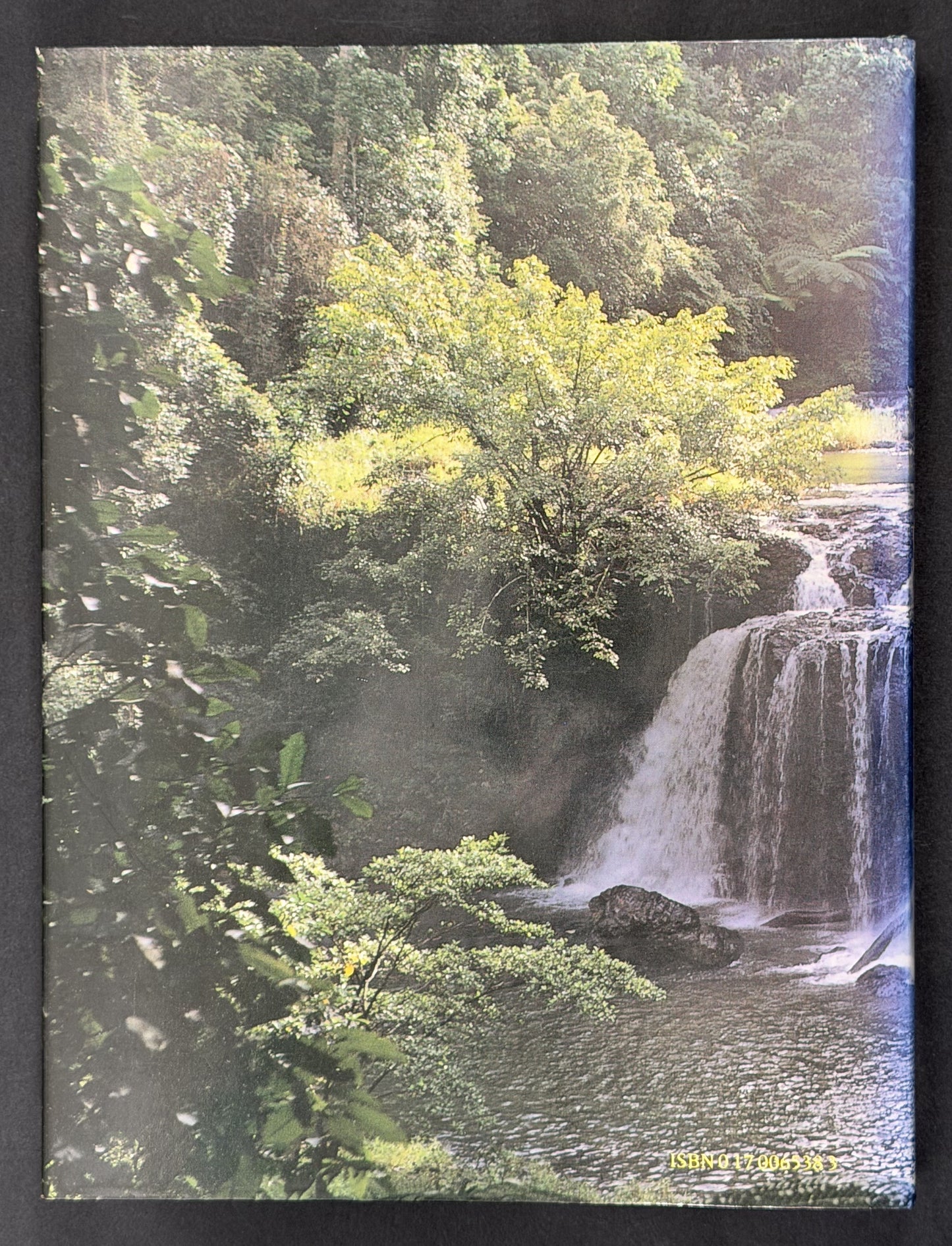 Tropical Orchids of Australia by P.S. Lavarack and B. Gray