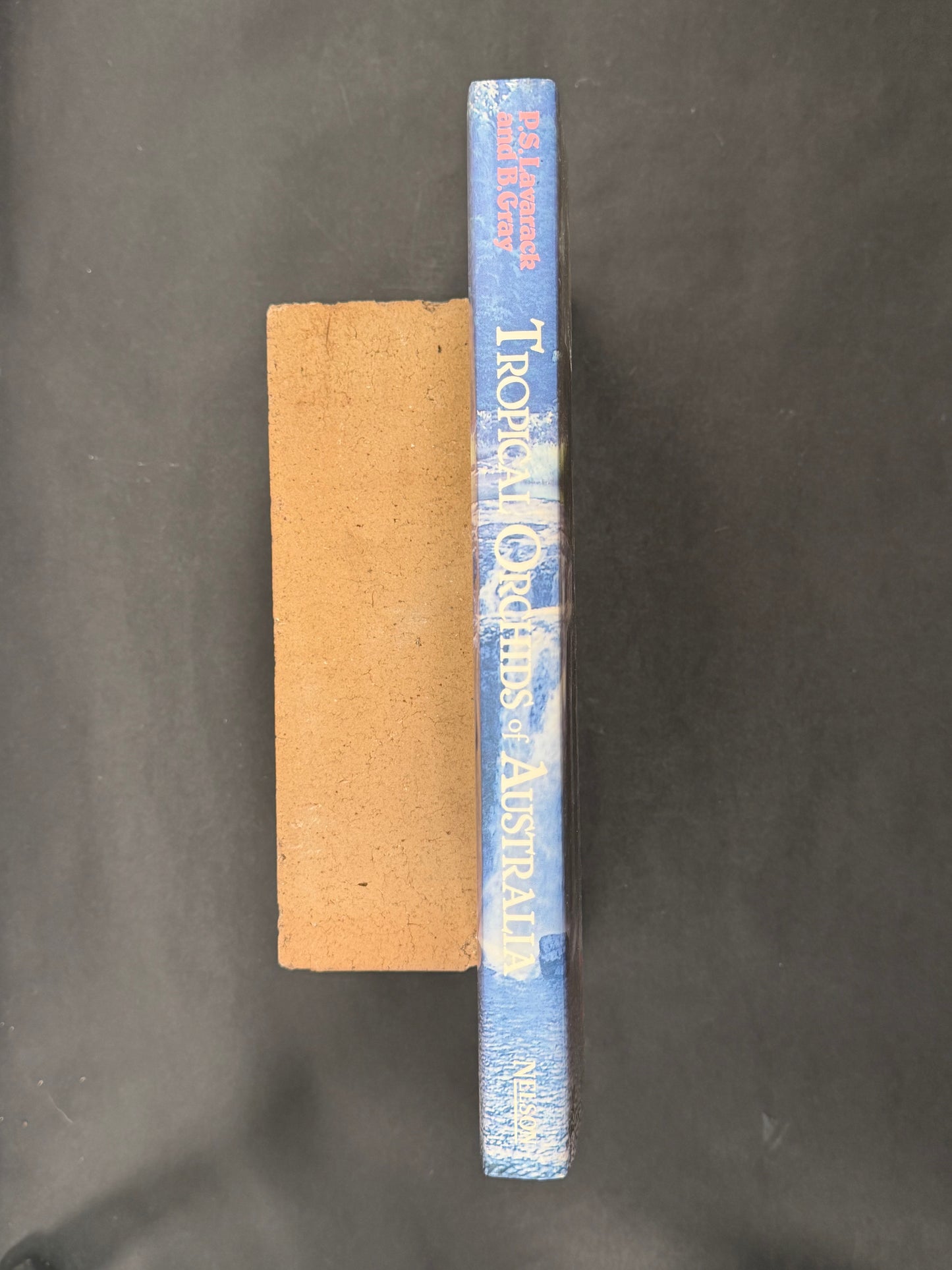 Tropical Orchids of Australia by P.S. Lavarack and B. Gray