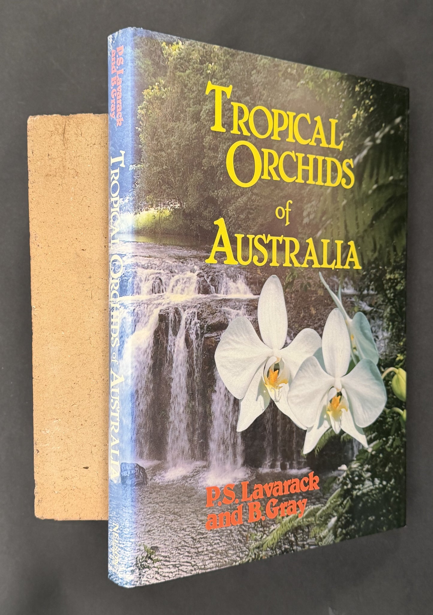 Tropical Orchids of Australia by P.S. Lavarack and B. Gray
