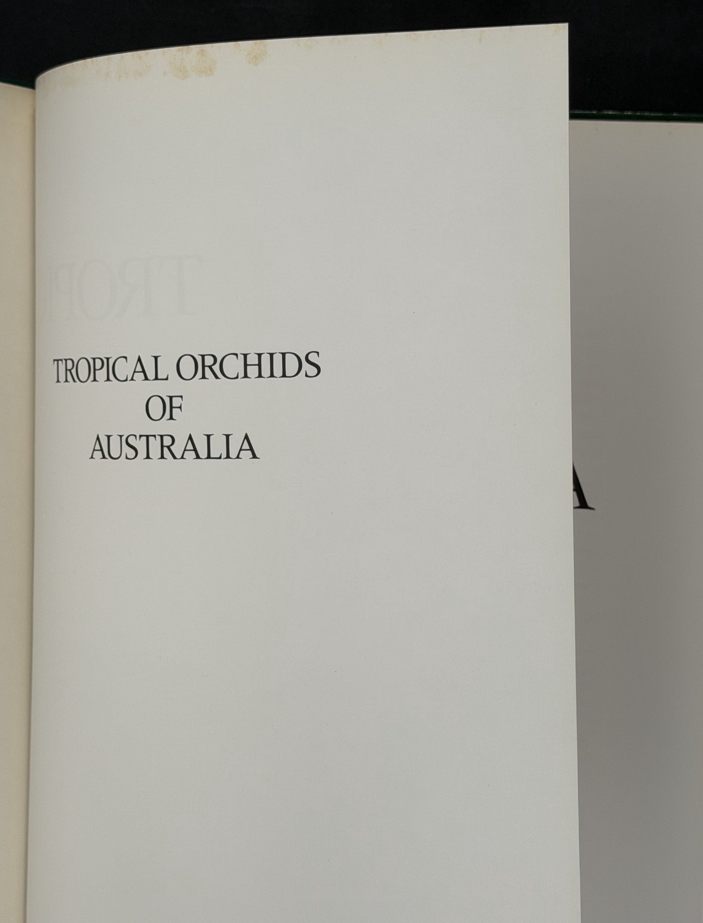 Tropical Orchids of Australia by P.S. Lavarack and B. Gray