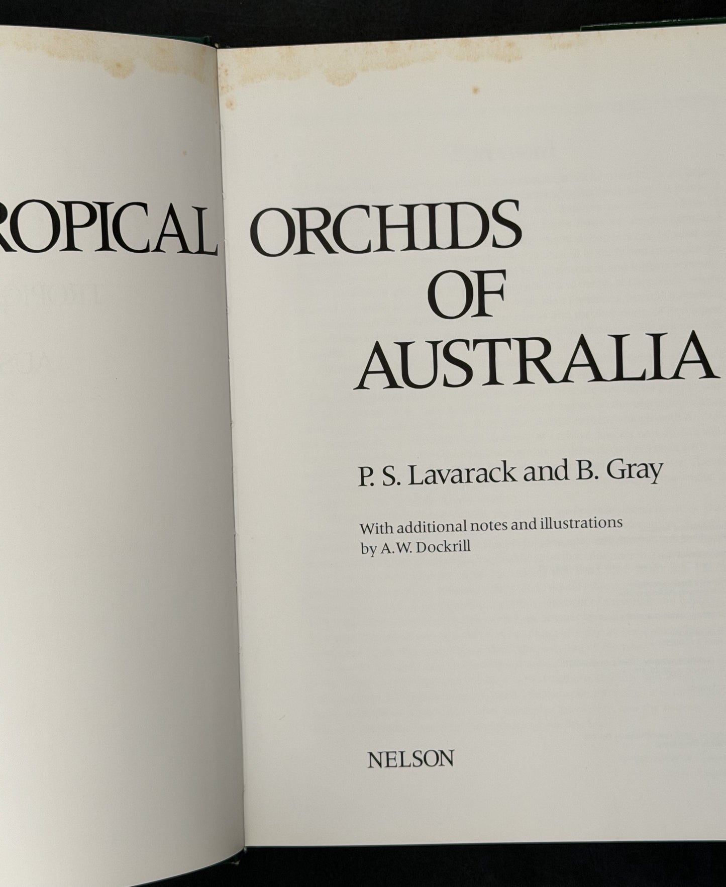 Tropical Orchids of Australia by P.S. Lavarack and B. Gray