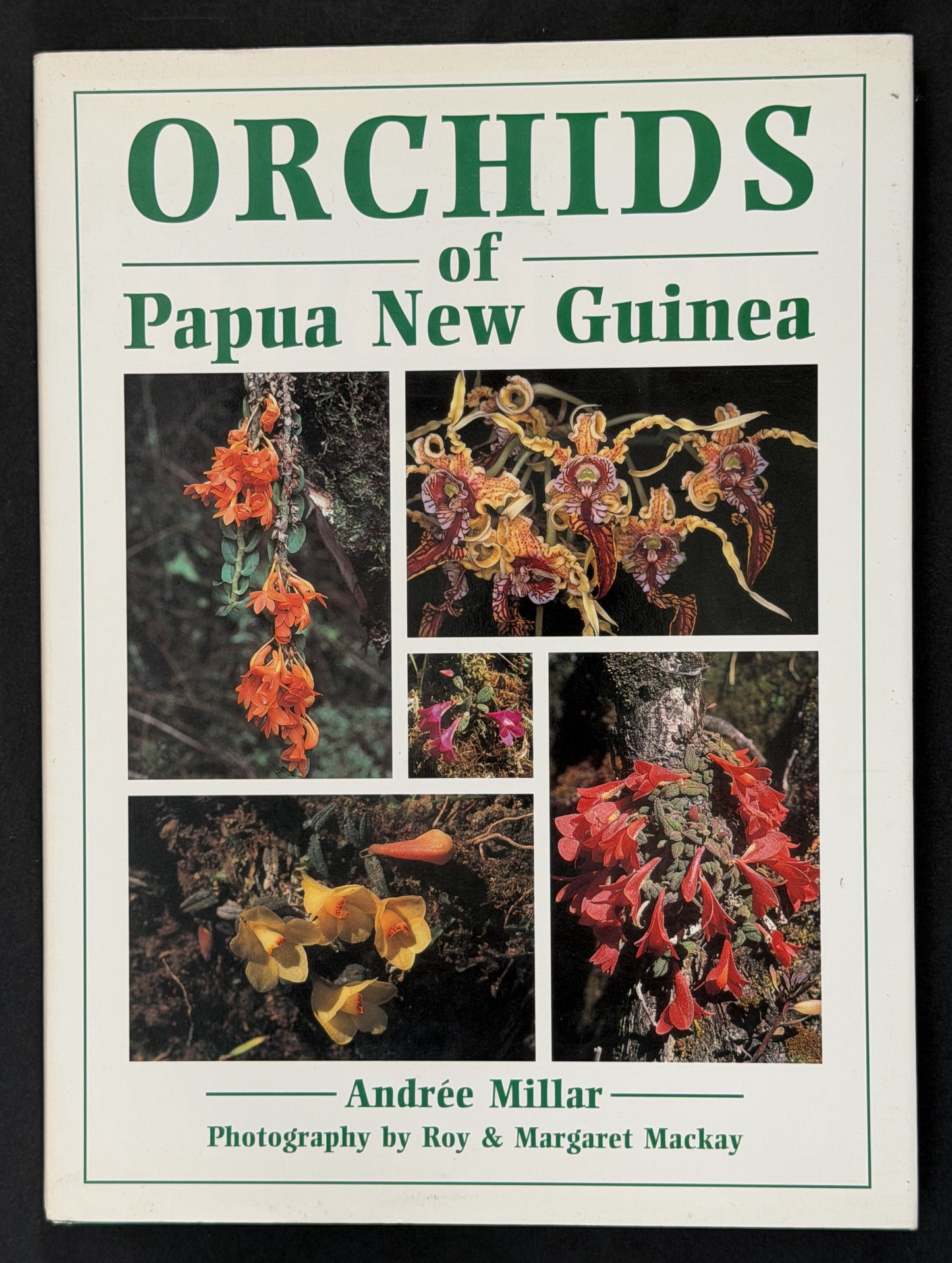 Orchids of Papua New Guinea by Andreé Millar
