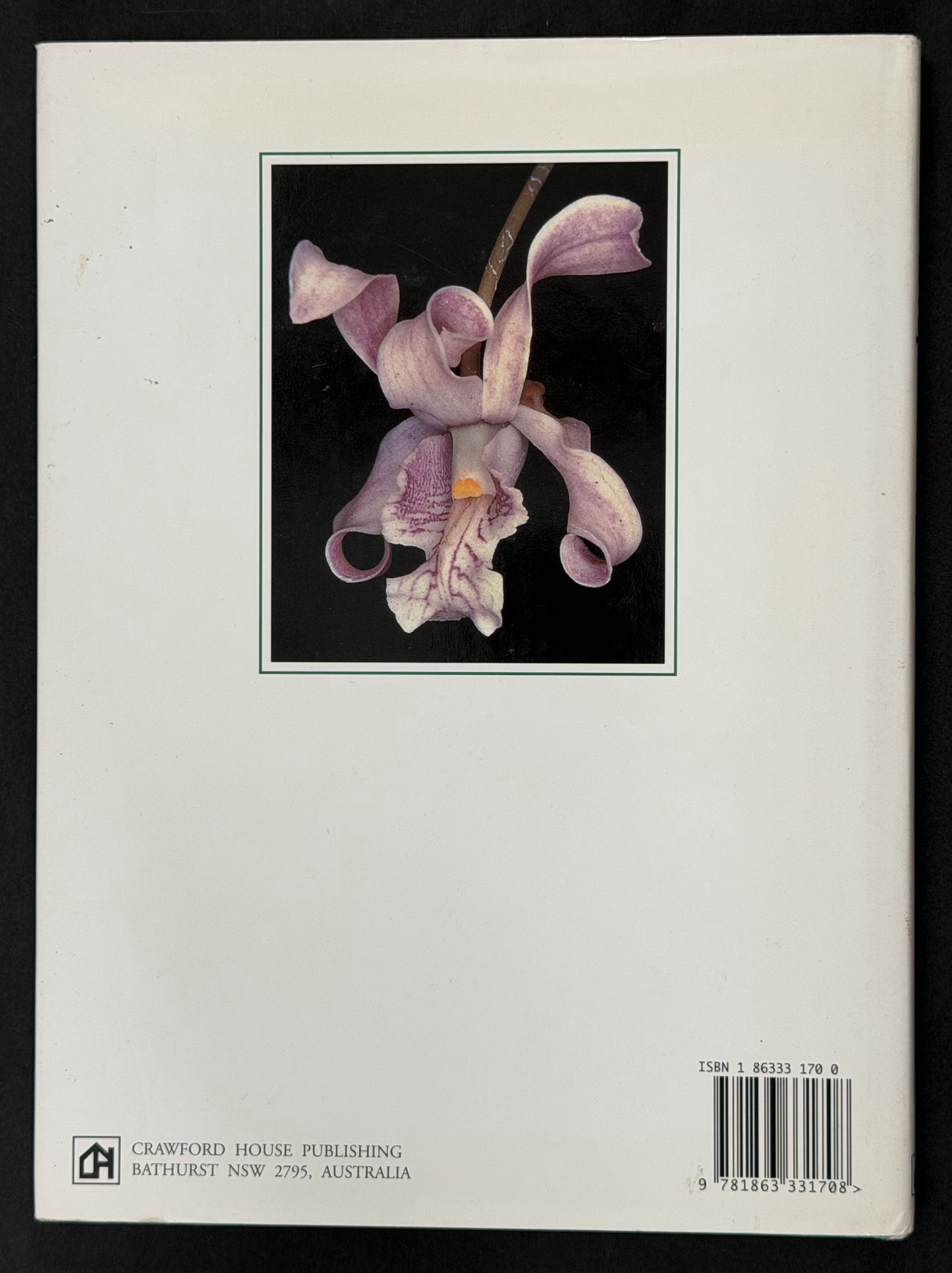 Orchids of Papua New Guinea by Andreé Millar