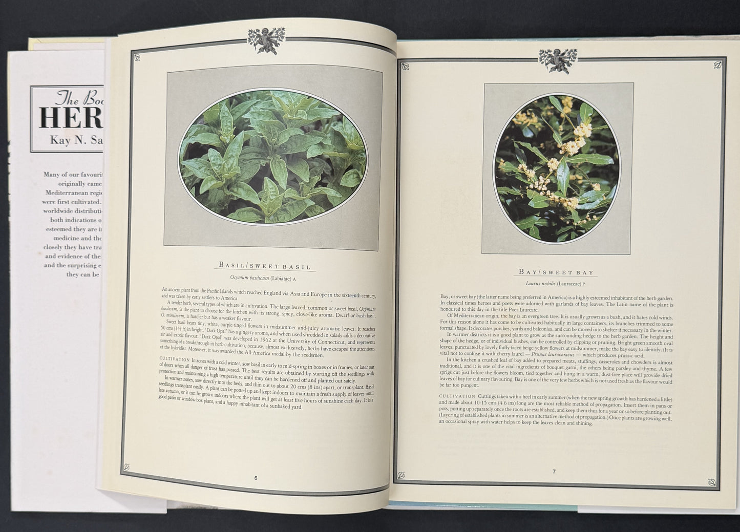 The Book of Herbs by Kay Naylor Sanecki