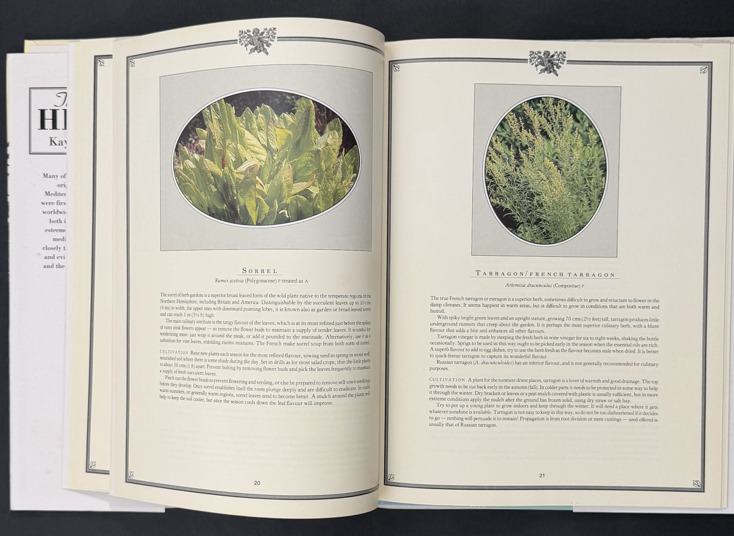 The Book of Herbs by Kay Naylor Sanecki