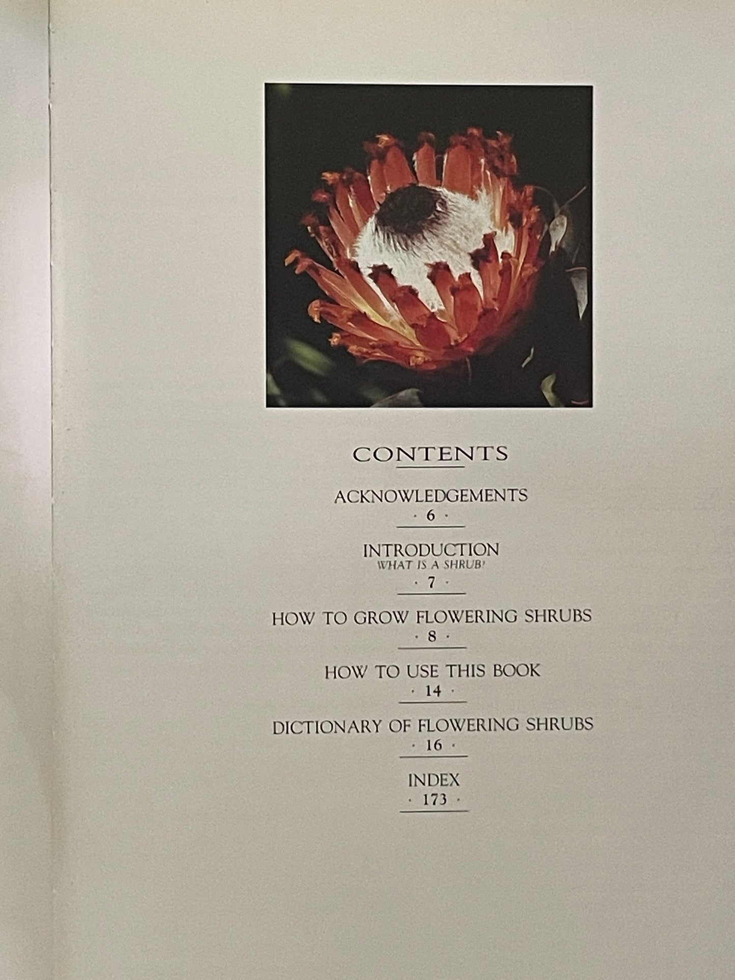 Shrubs for Bloom and Beauty by Stirling Macoboy