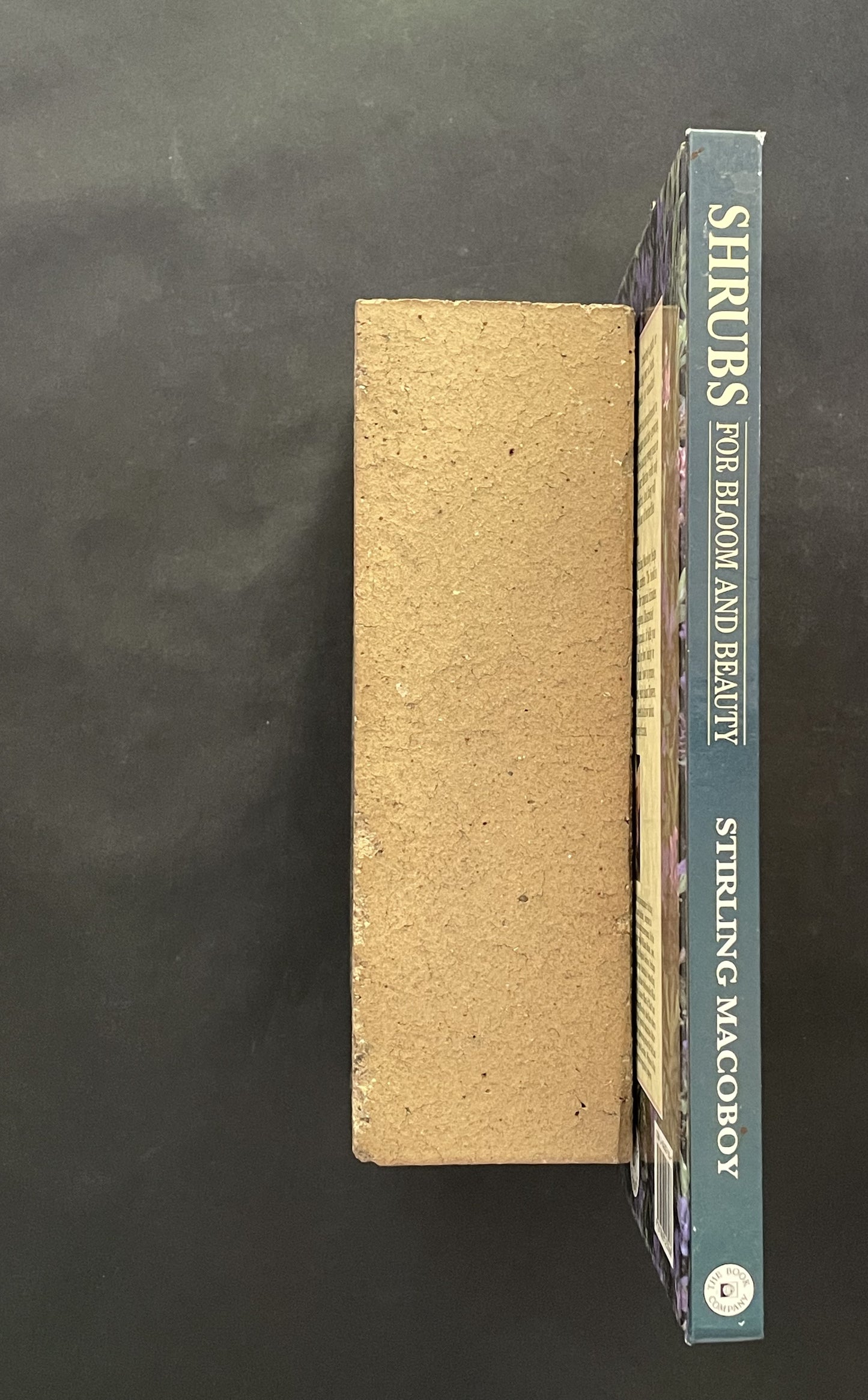 Shrubs for Bloom and Beauty by Stirling Macoboy