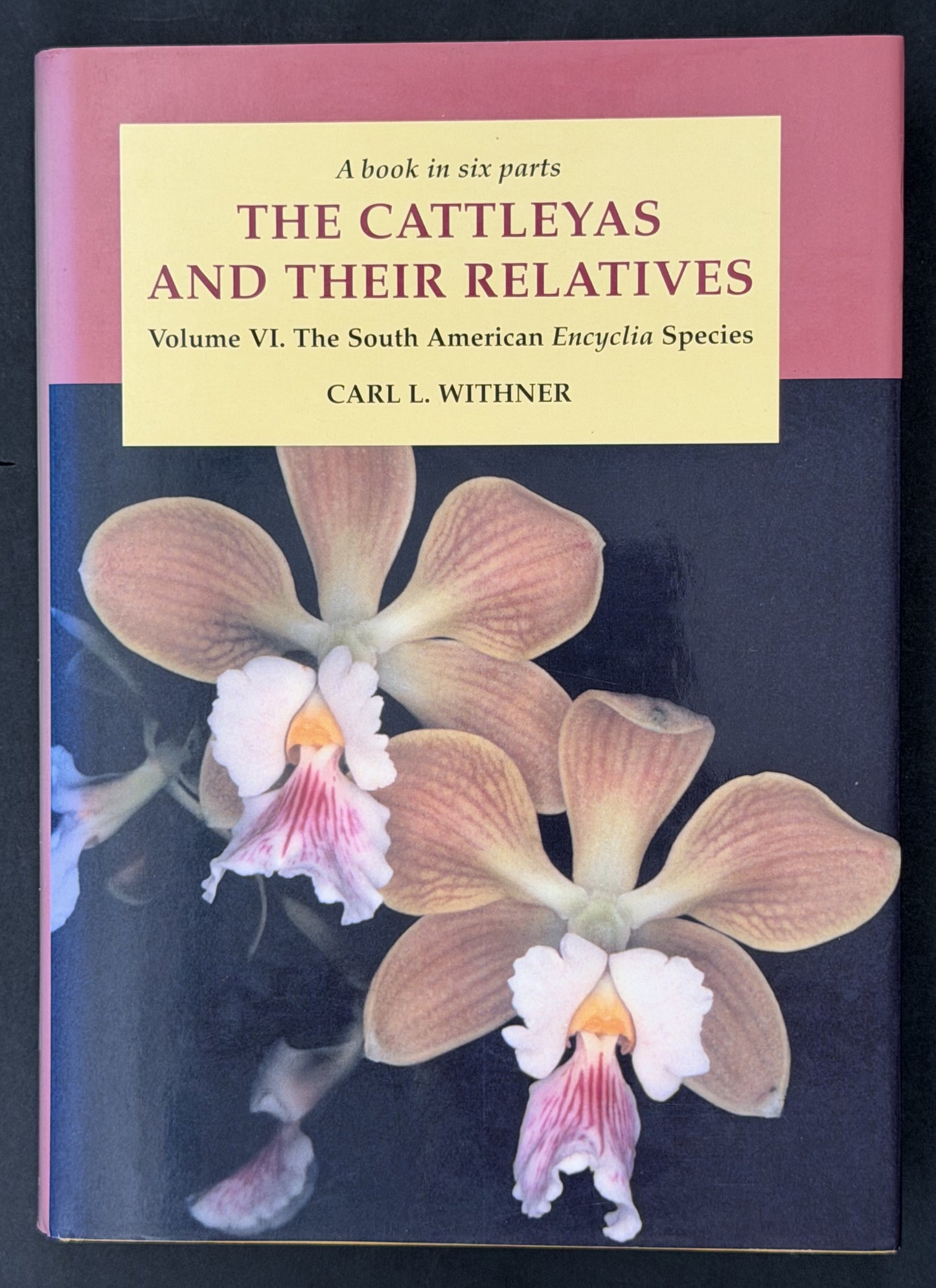 The Cattleyas and Their Relatives: The South American Encyclia species (Vol 6)