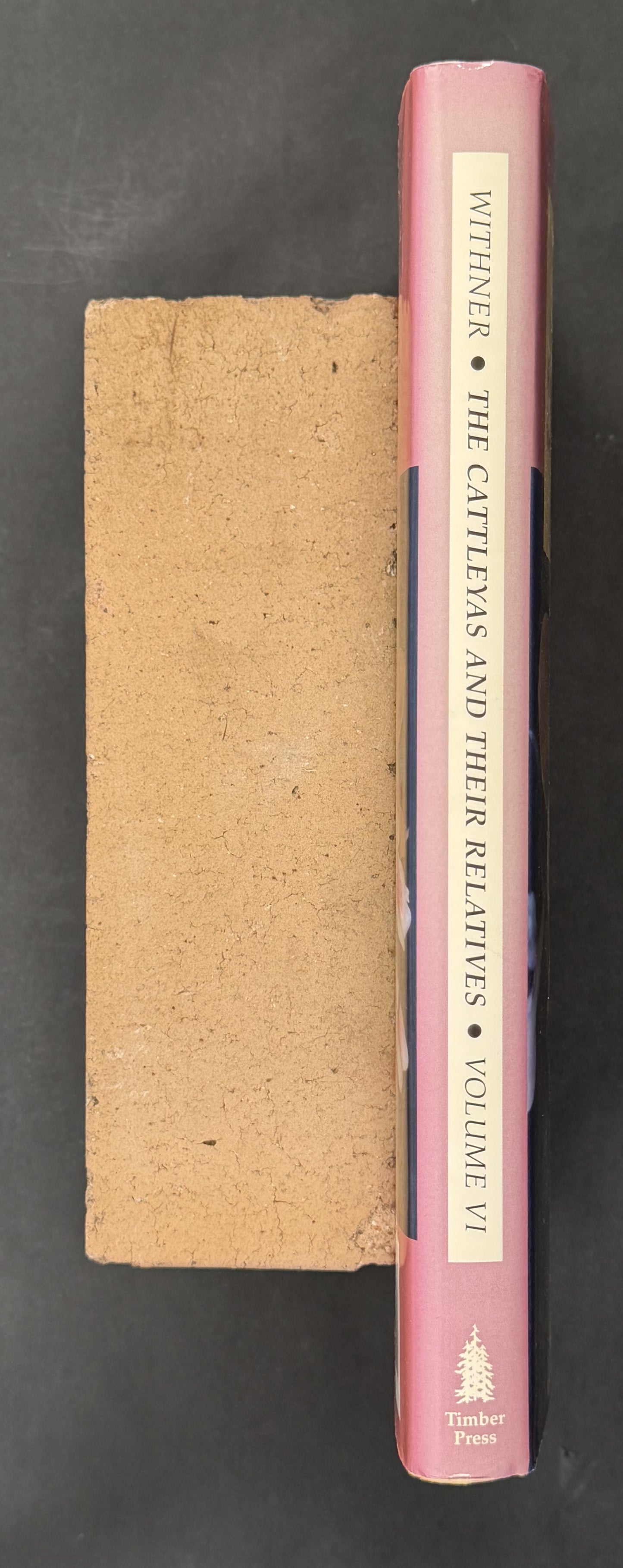 The Cattleyas and Their Relatives: The South American Encyclia species (Vol 6)