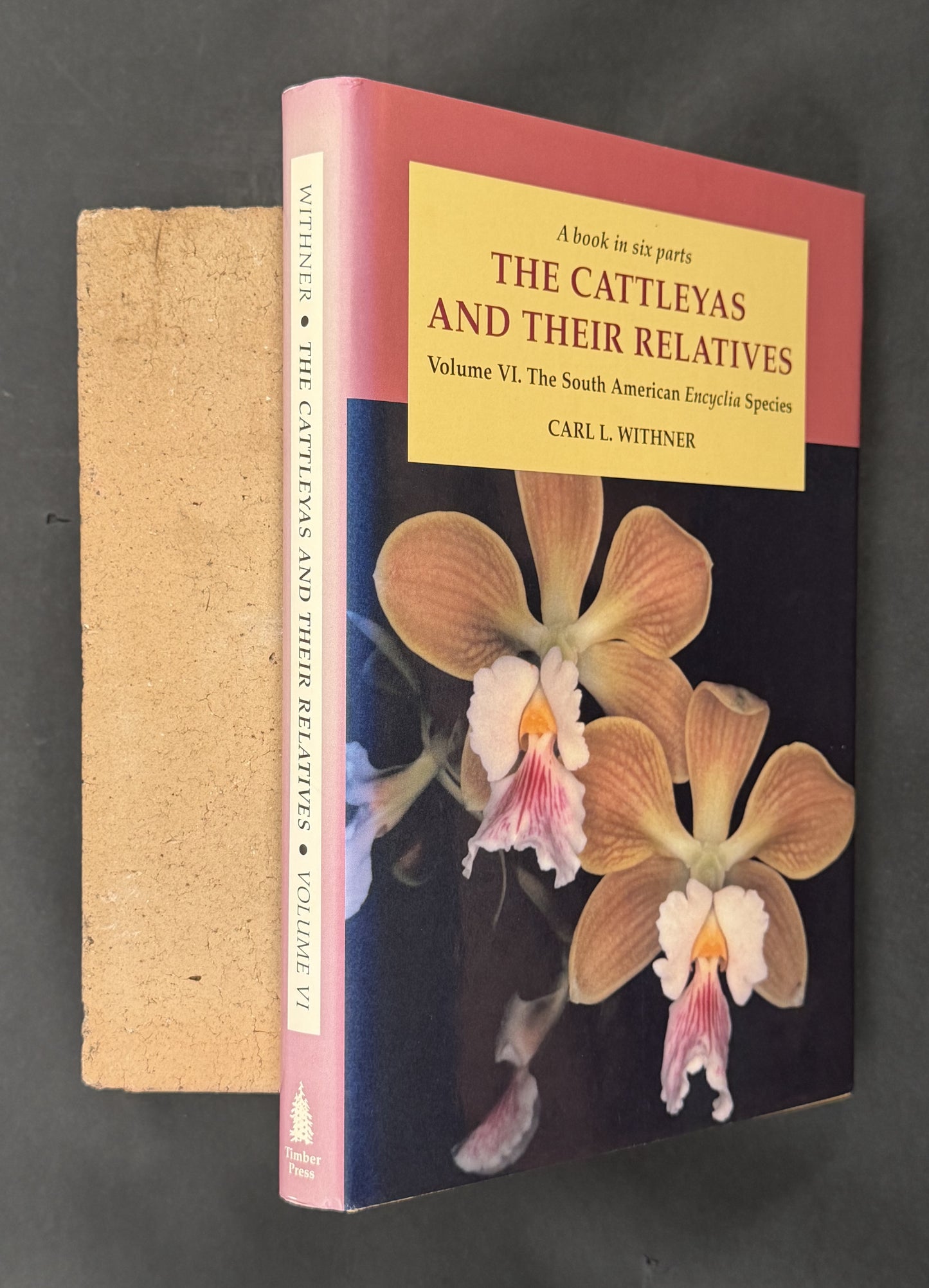 The Cattleyas and Their Relatives: The South American Encyclia species (Vol 6)