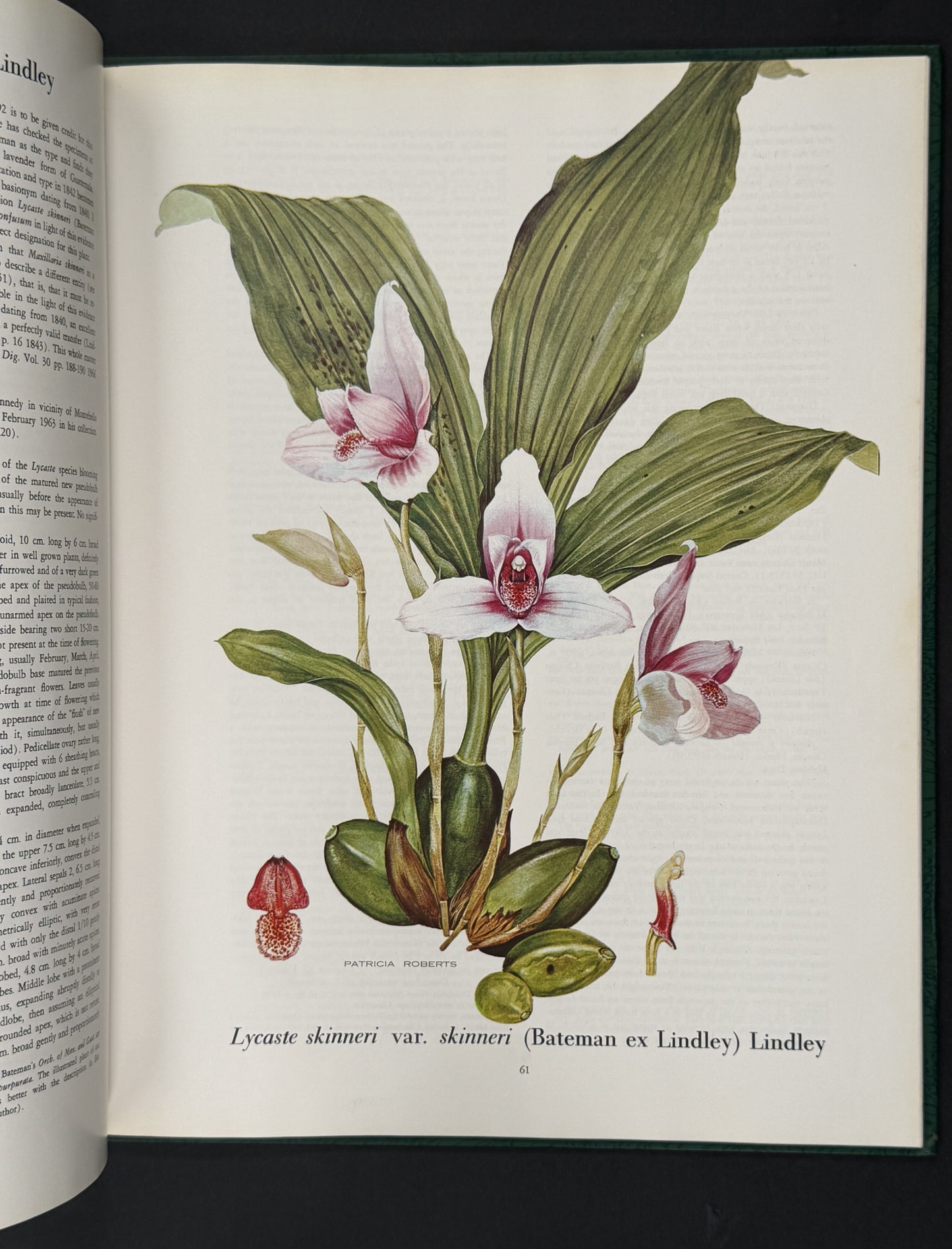 The Genus Lycaste by J. A. Fowlie