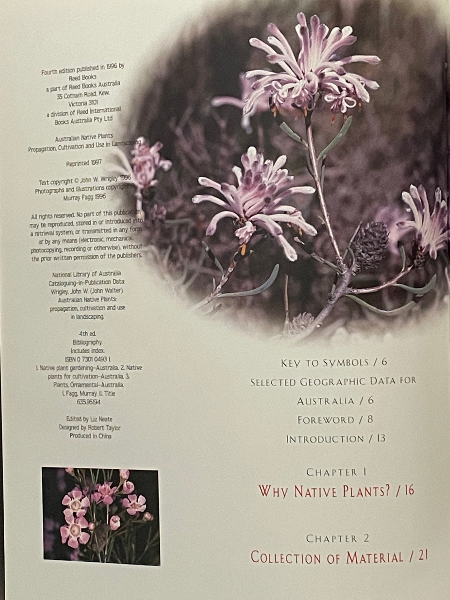 AUSTRALIAN Native Plants by John W. Wrigley Murray Fagg